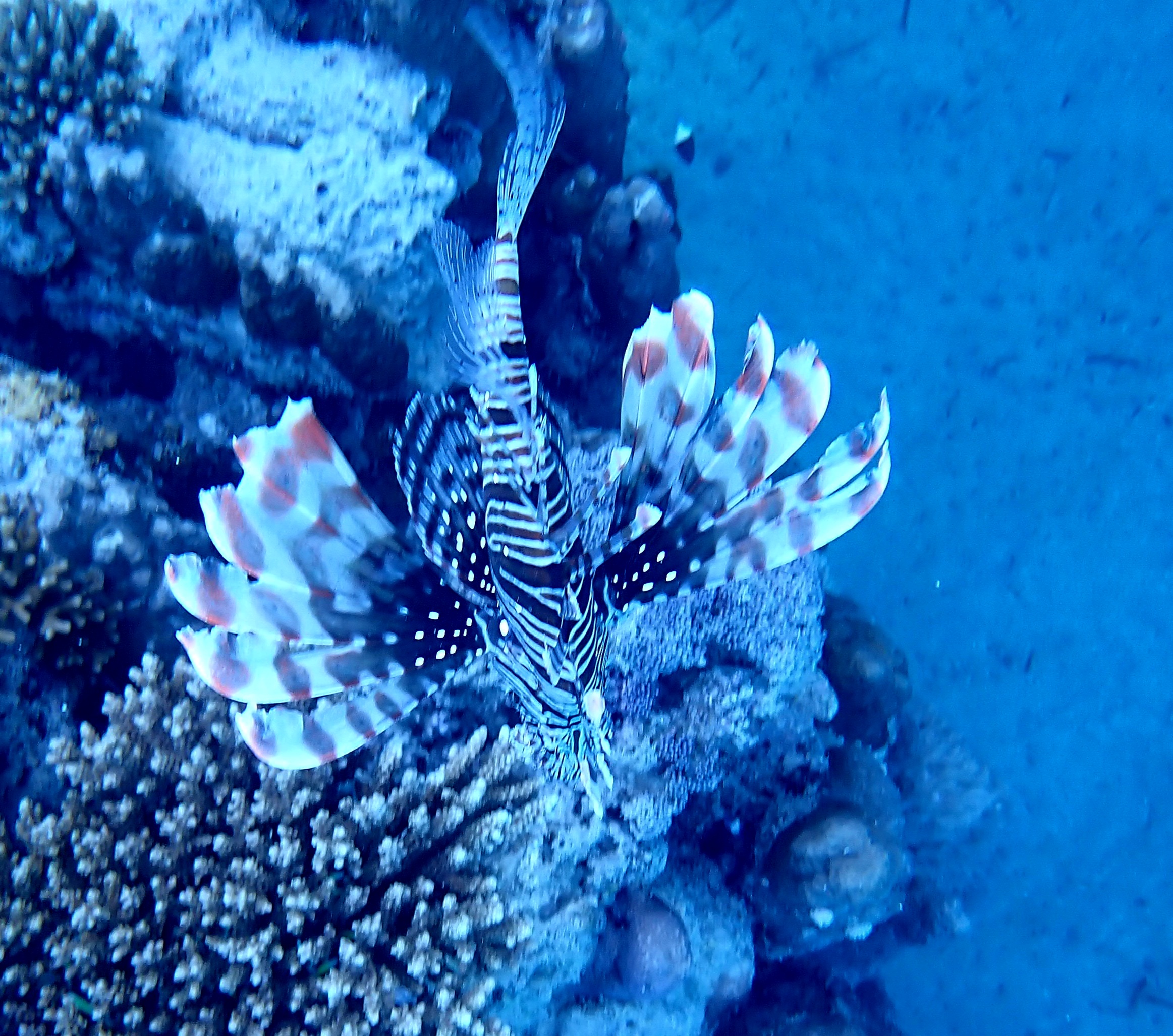PB040024.JPG