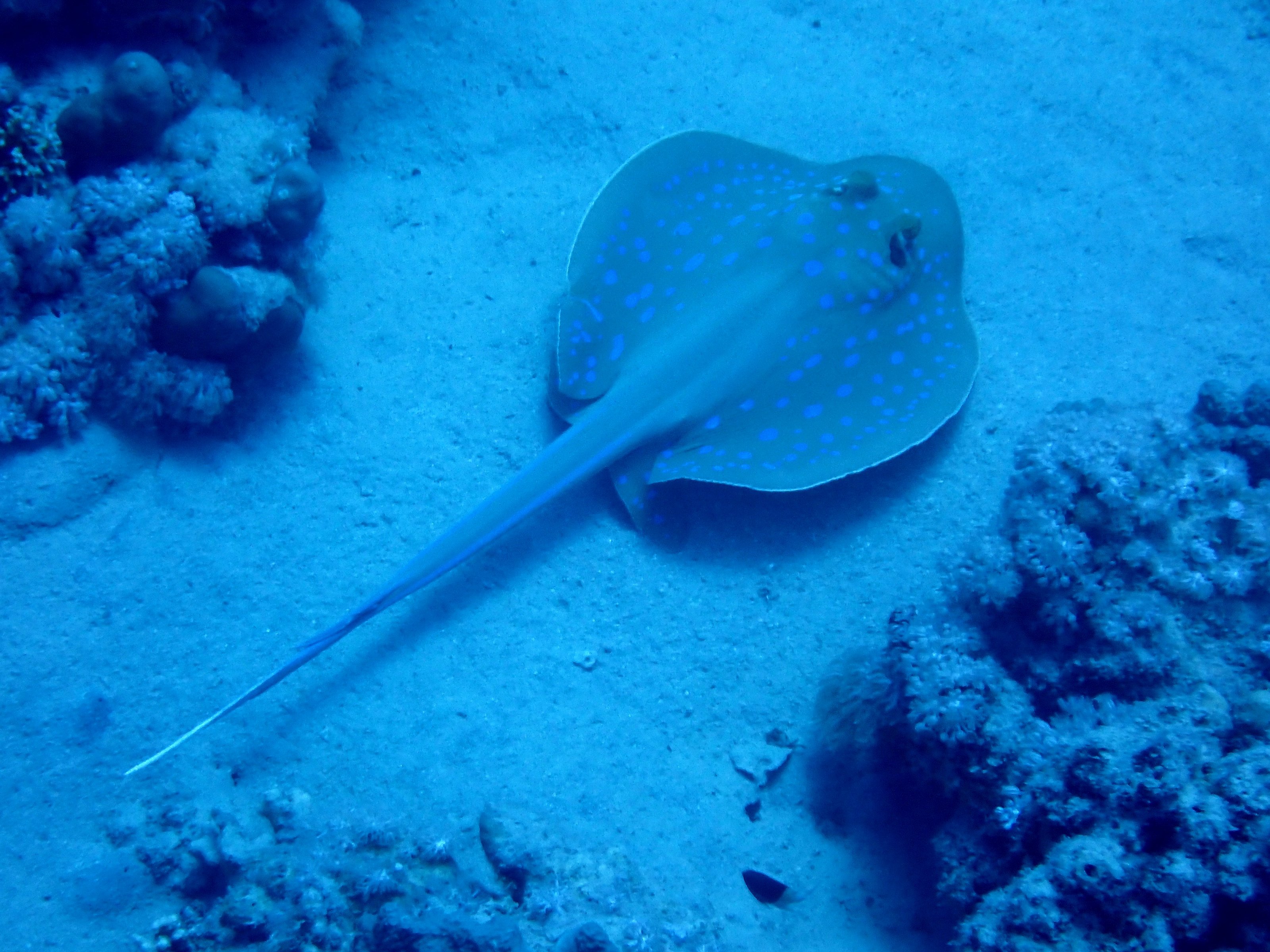 PB040286.JPG