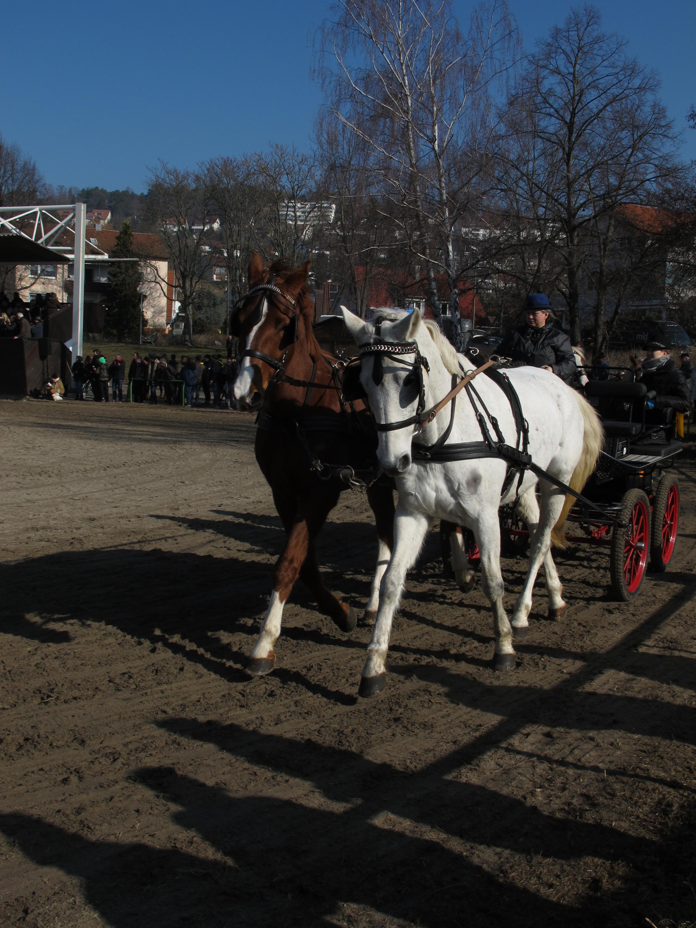 Pferdemarkt 020.jpg