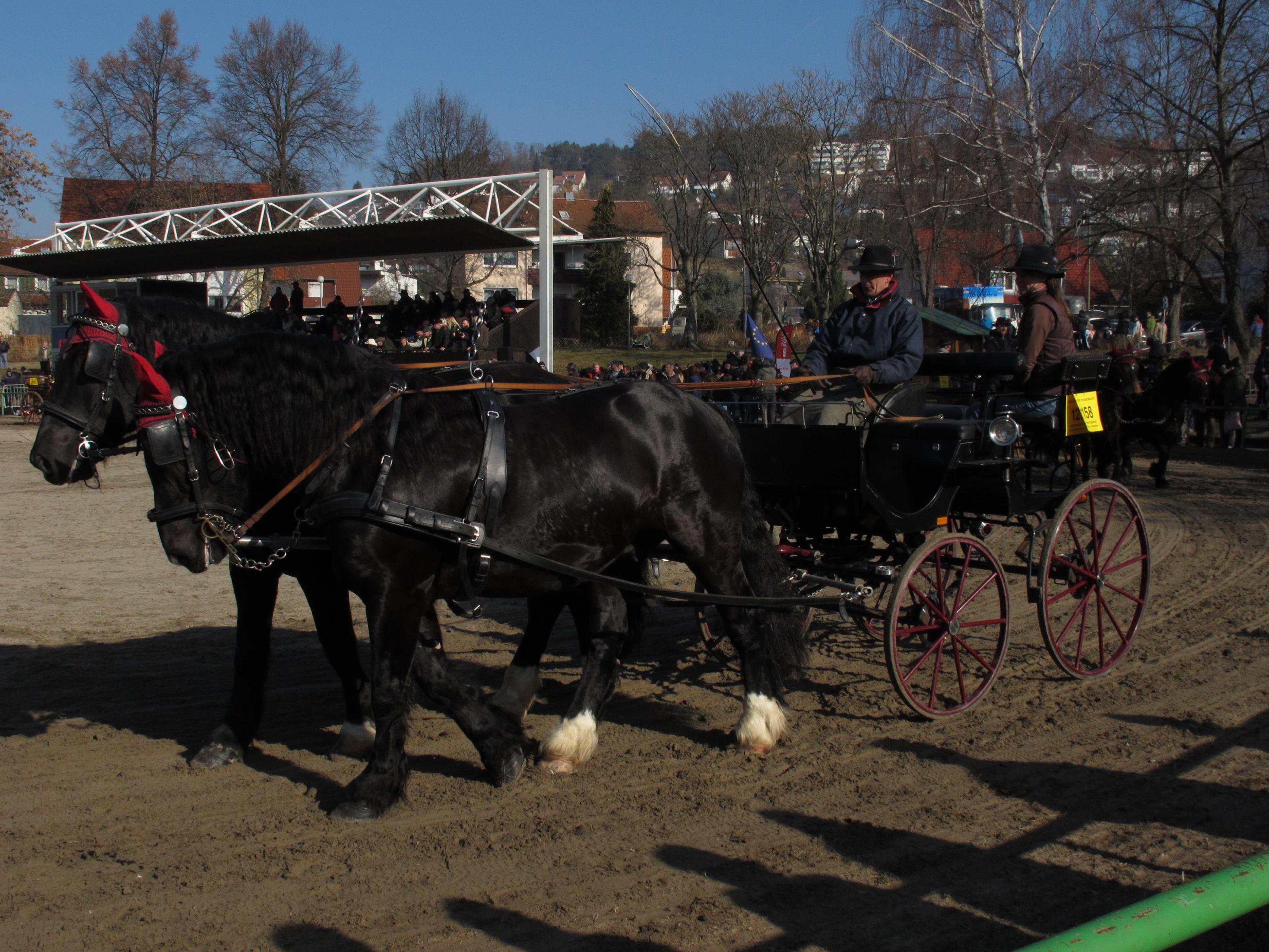 Pferdemarkt 021.jpg