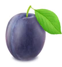 Pflaume.jpg