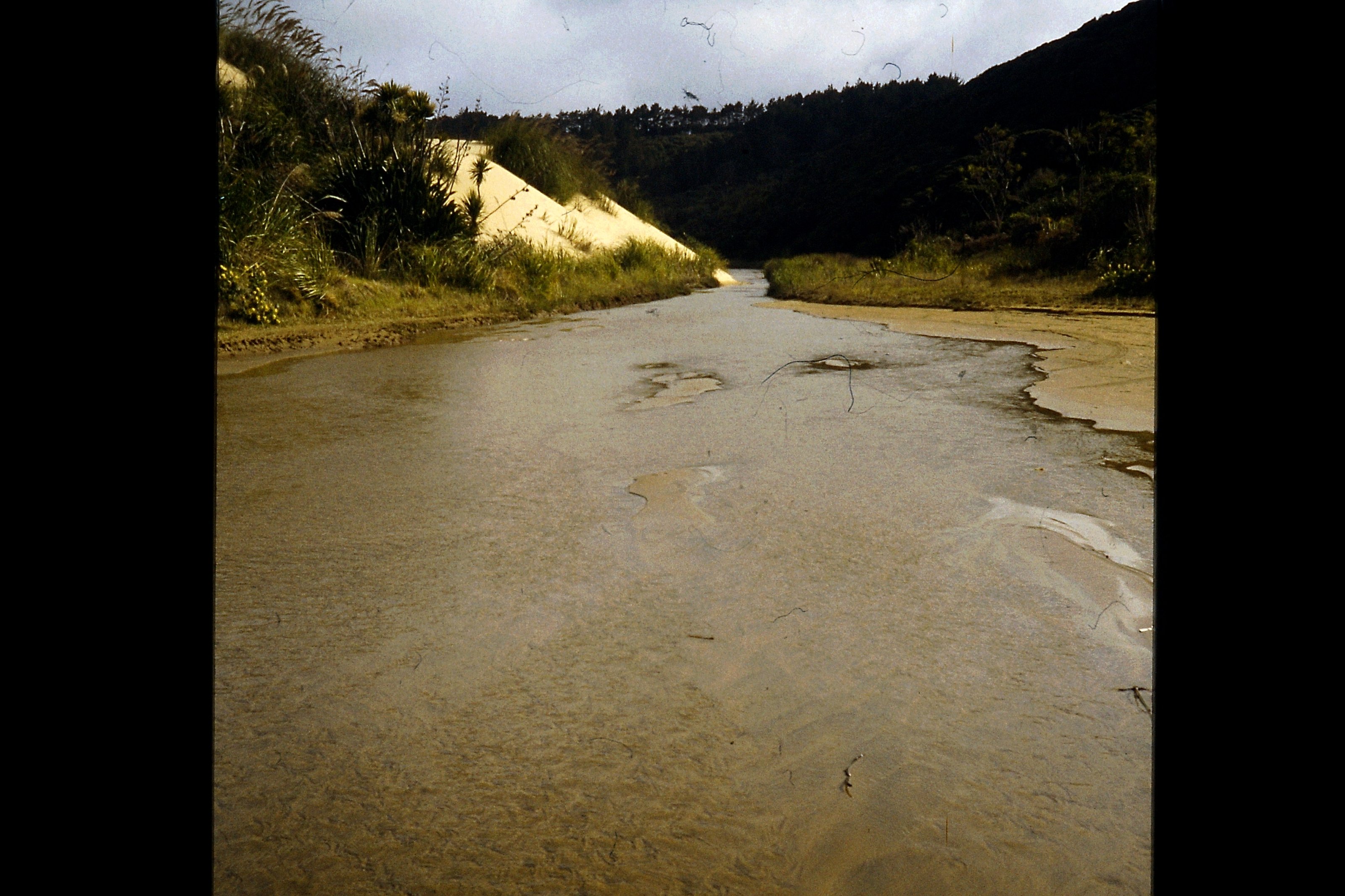 PICT0274.JPG