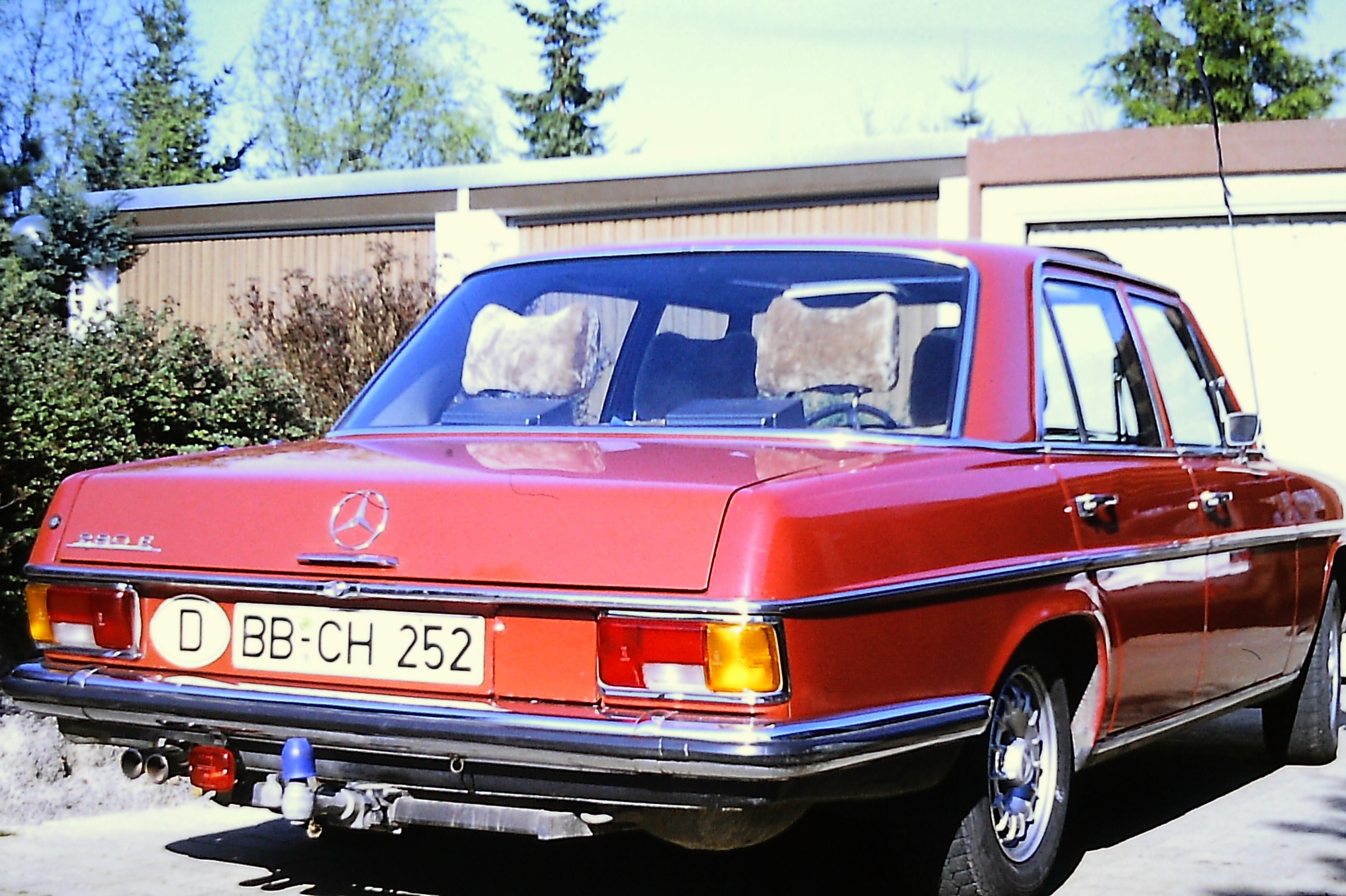 PICT0706.JPG
