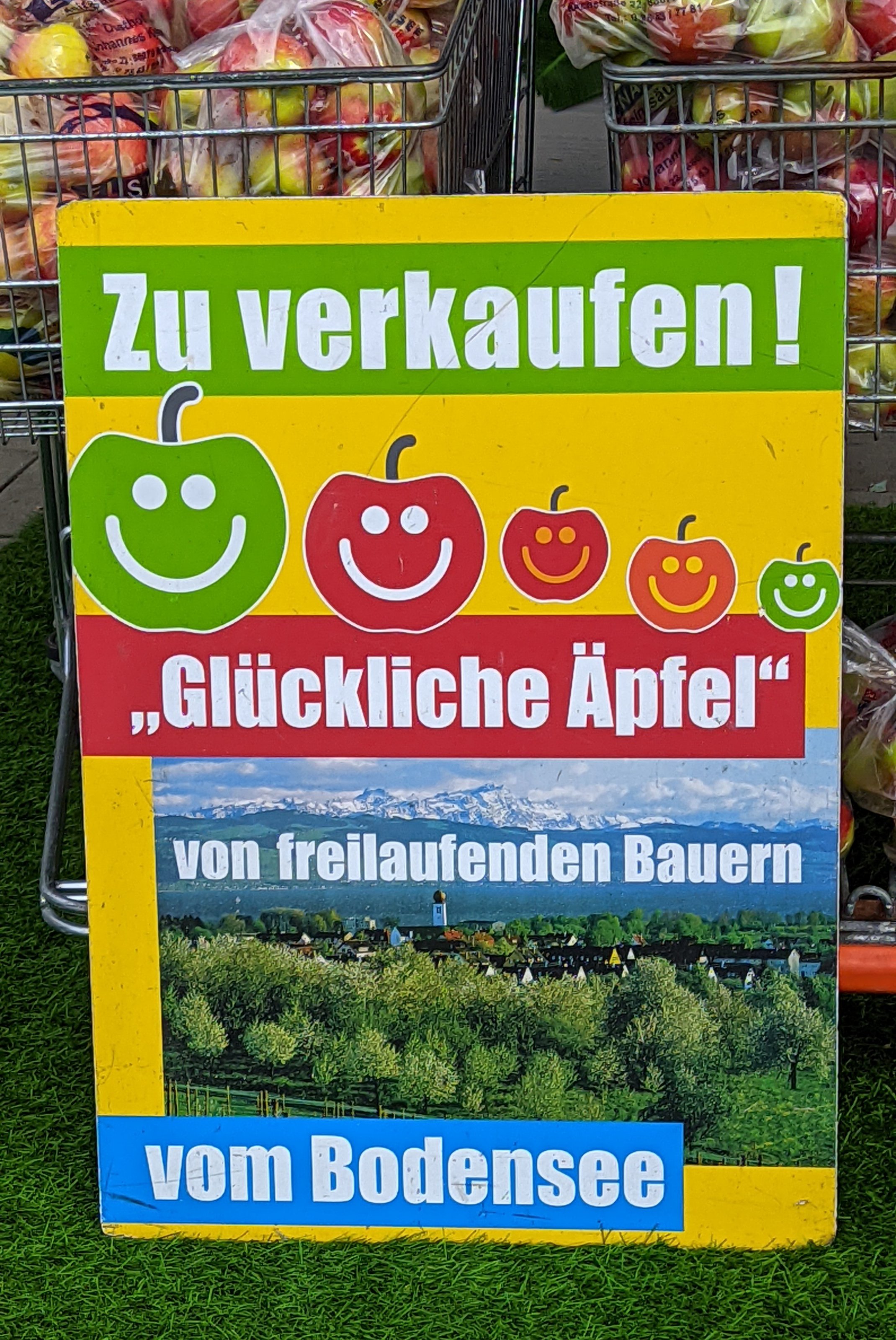 PXL_20220925_113110734~2.jpg