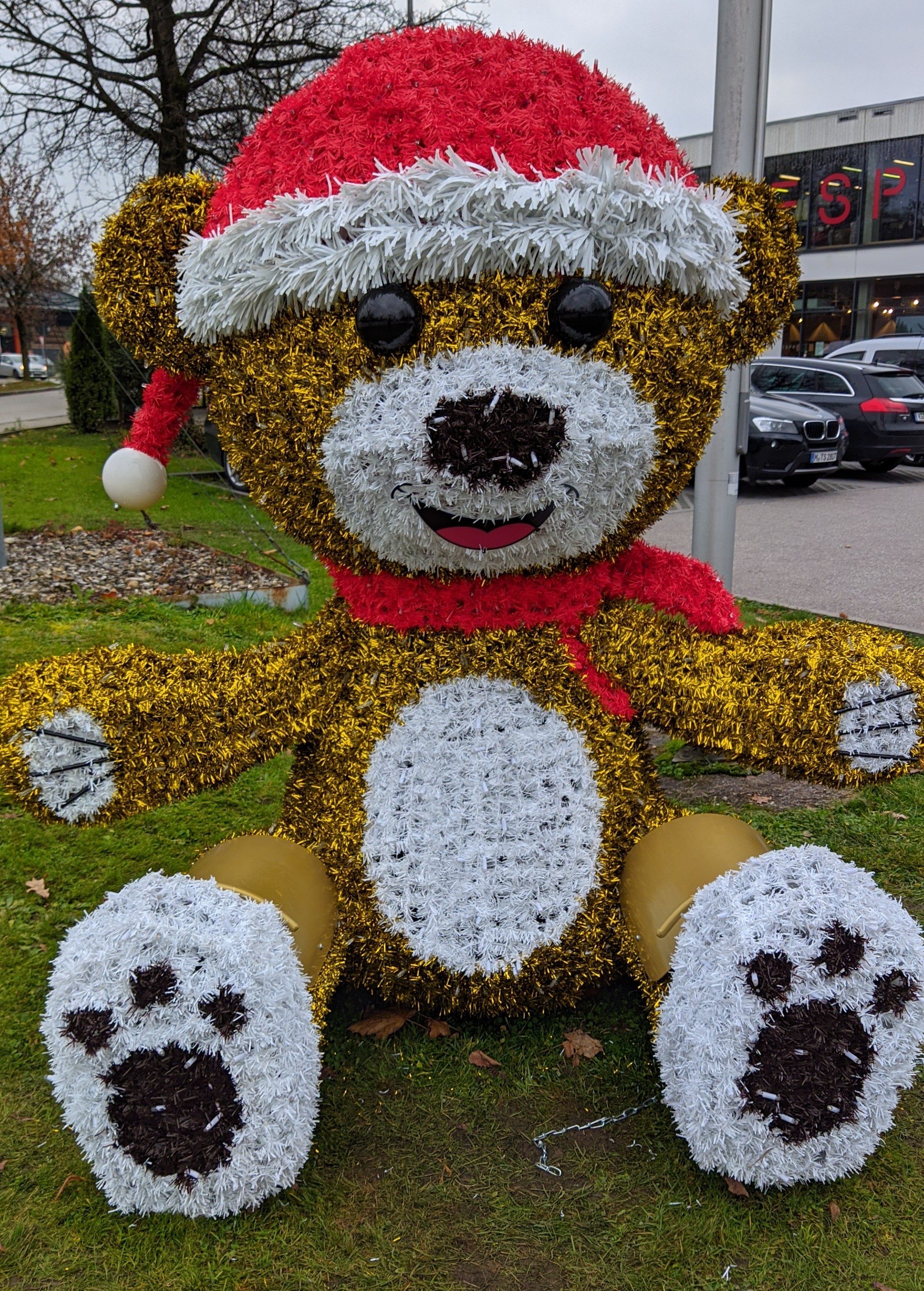 PXL_20221130_131642623~2.jpg