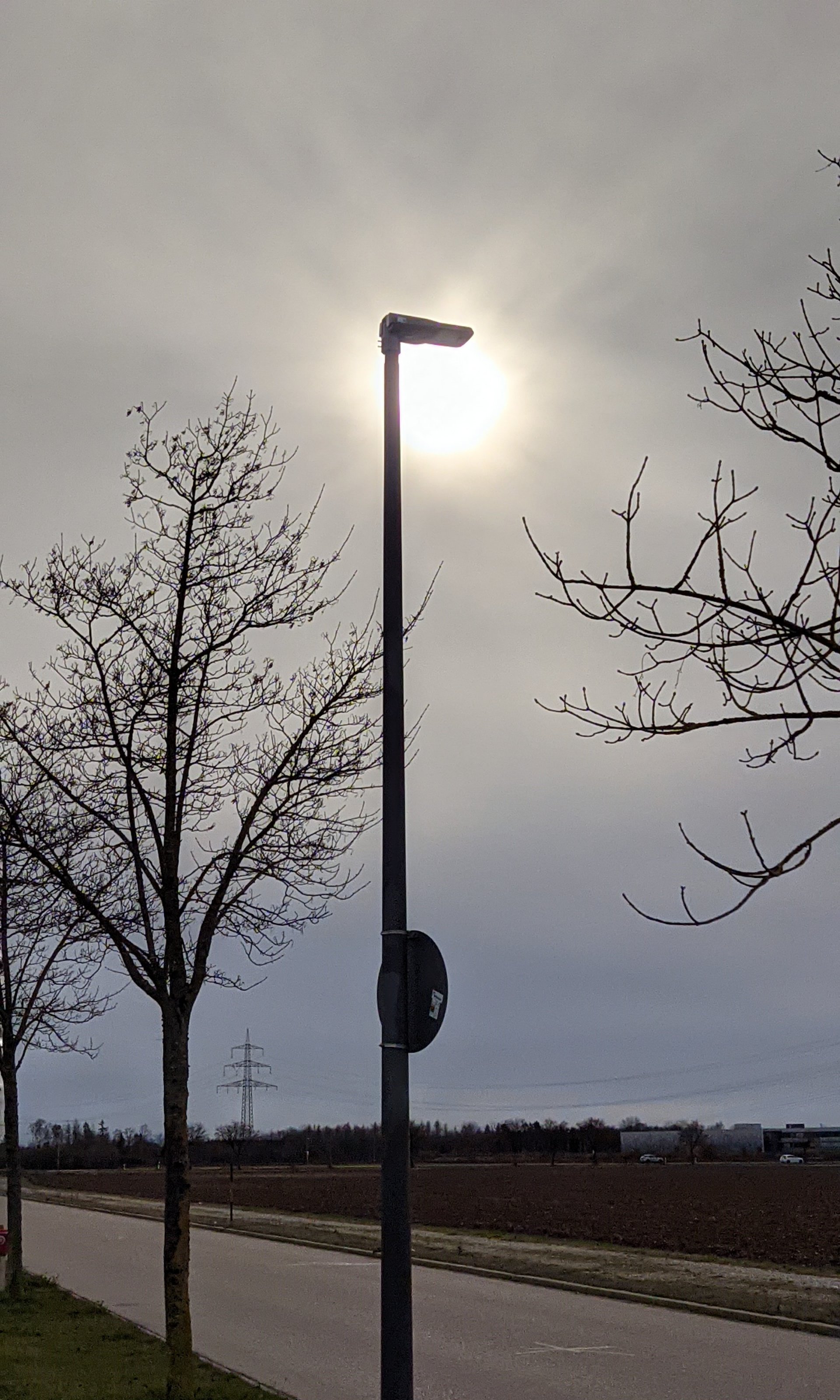 PXL_20230117_122104344~2.jpg