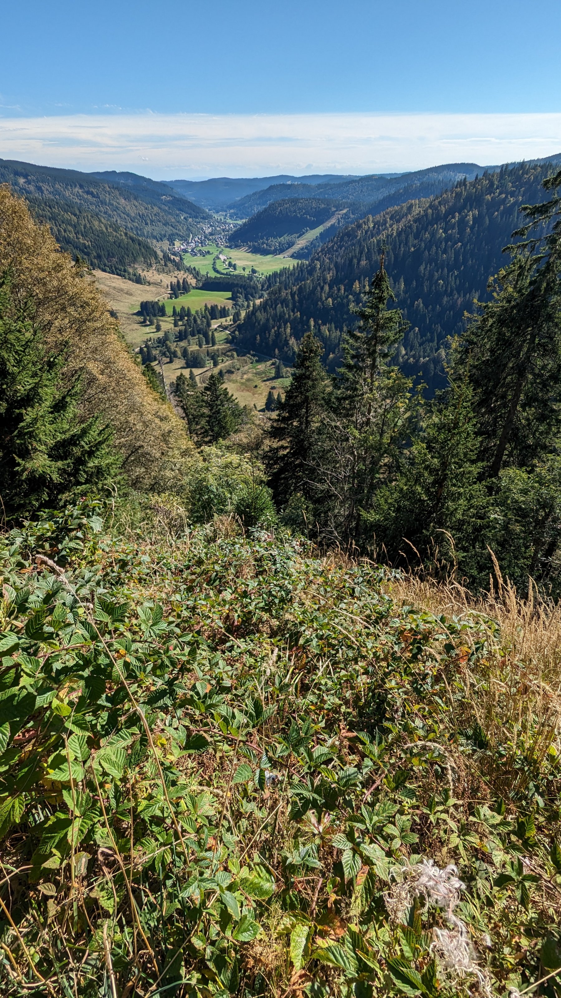 PXL_20230920_133712752.jpg