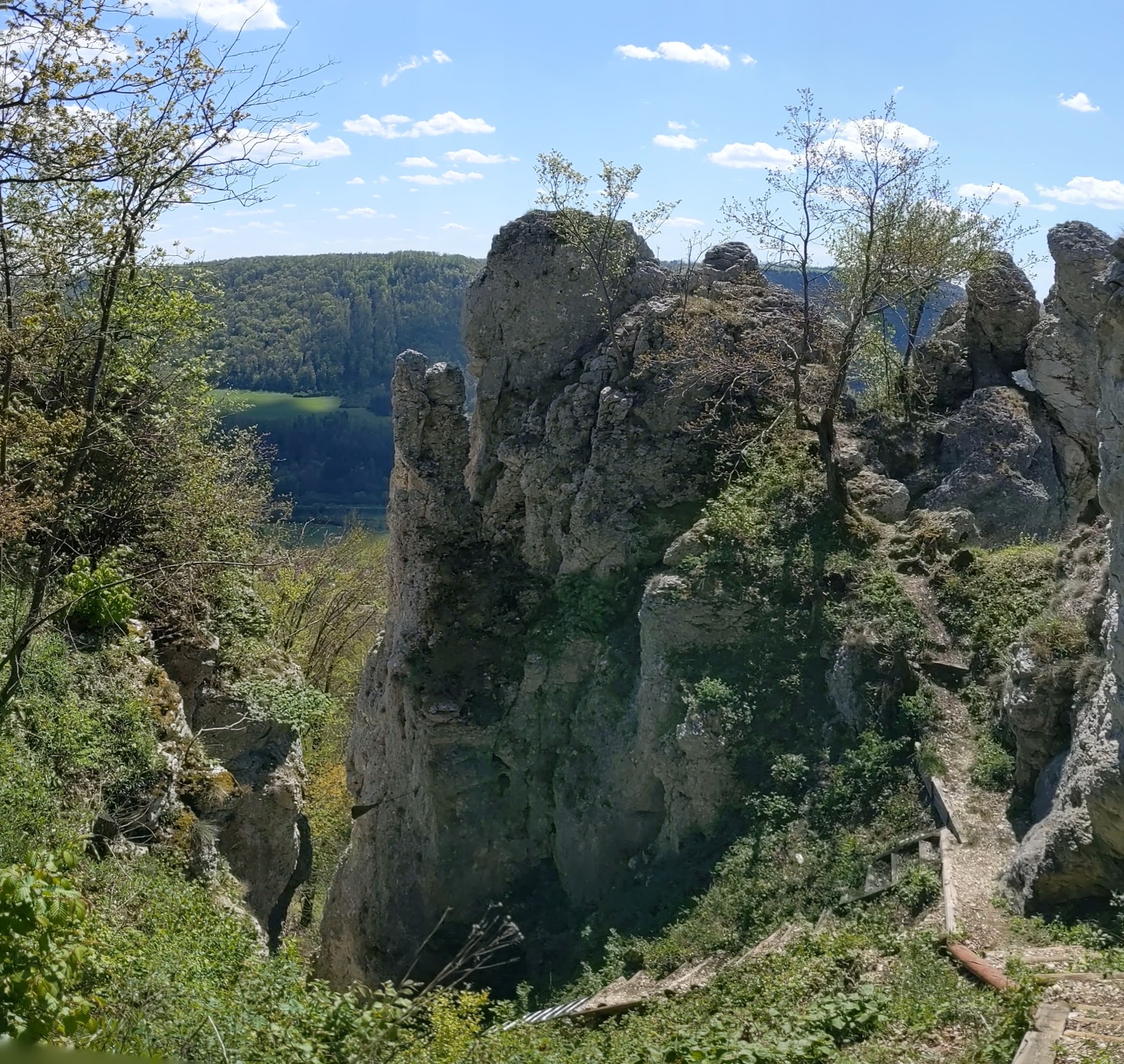 PXL_20240427_123134307.PANO.jpg