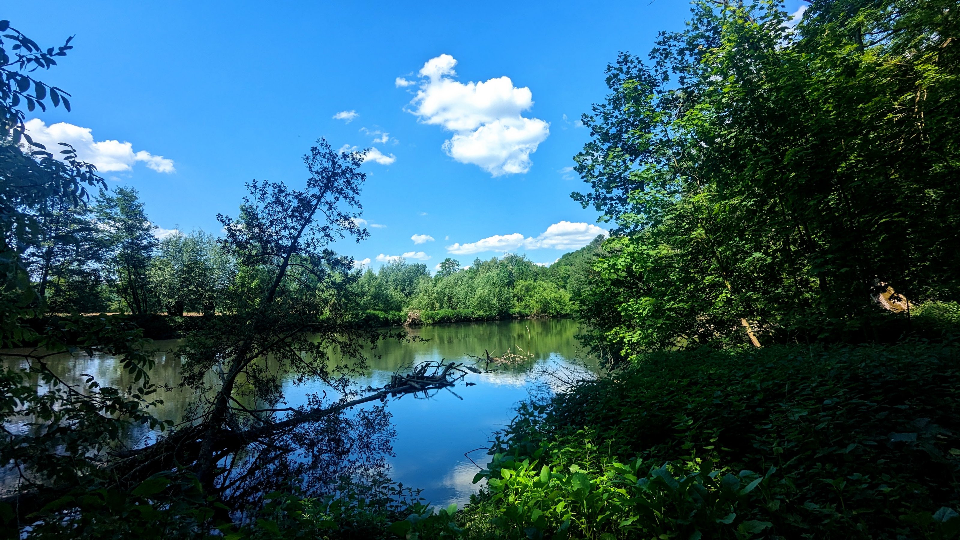 PXL_20240514_124643624.jpg