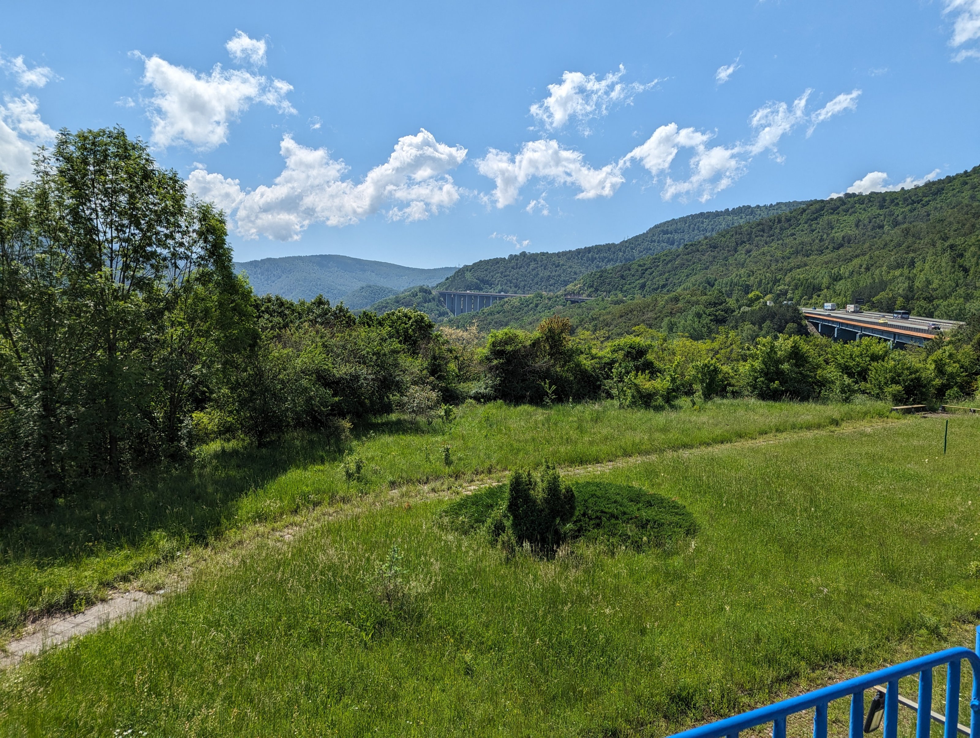 PXL_20240525_081341828.jpg