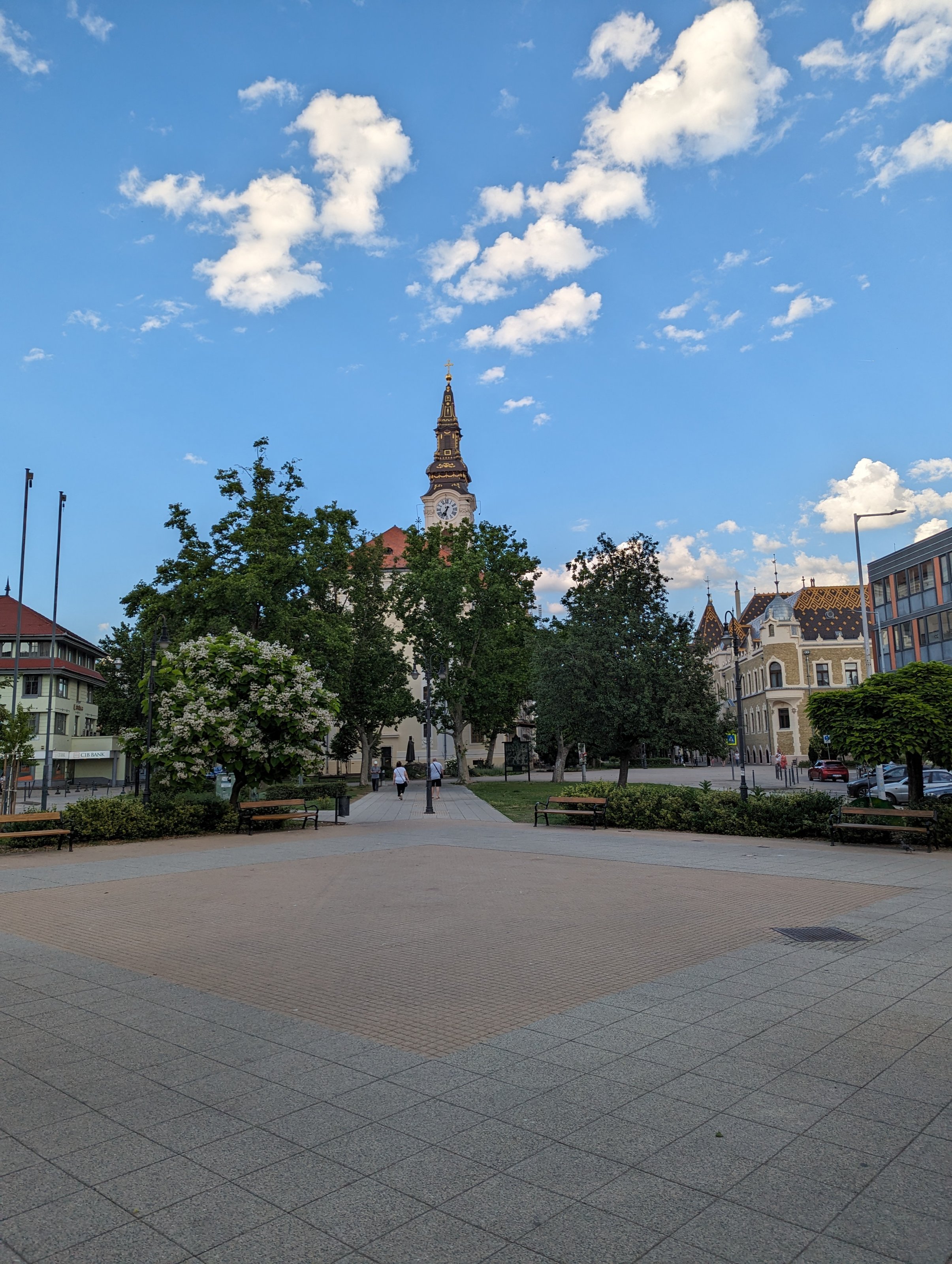 PXL_20240527_163704699.jpg