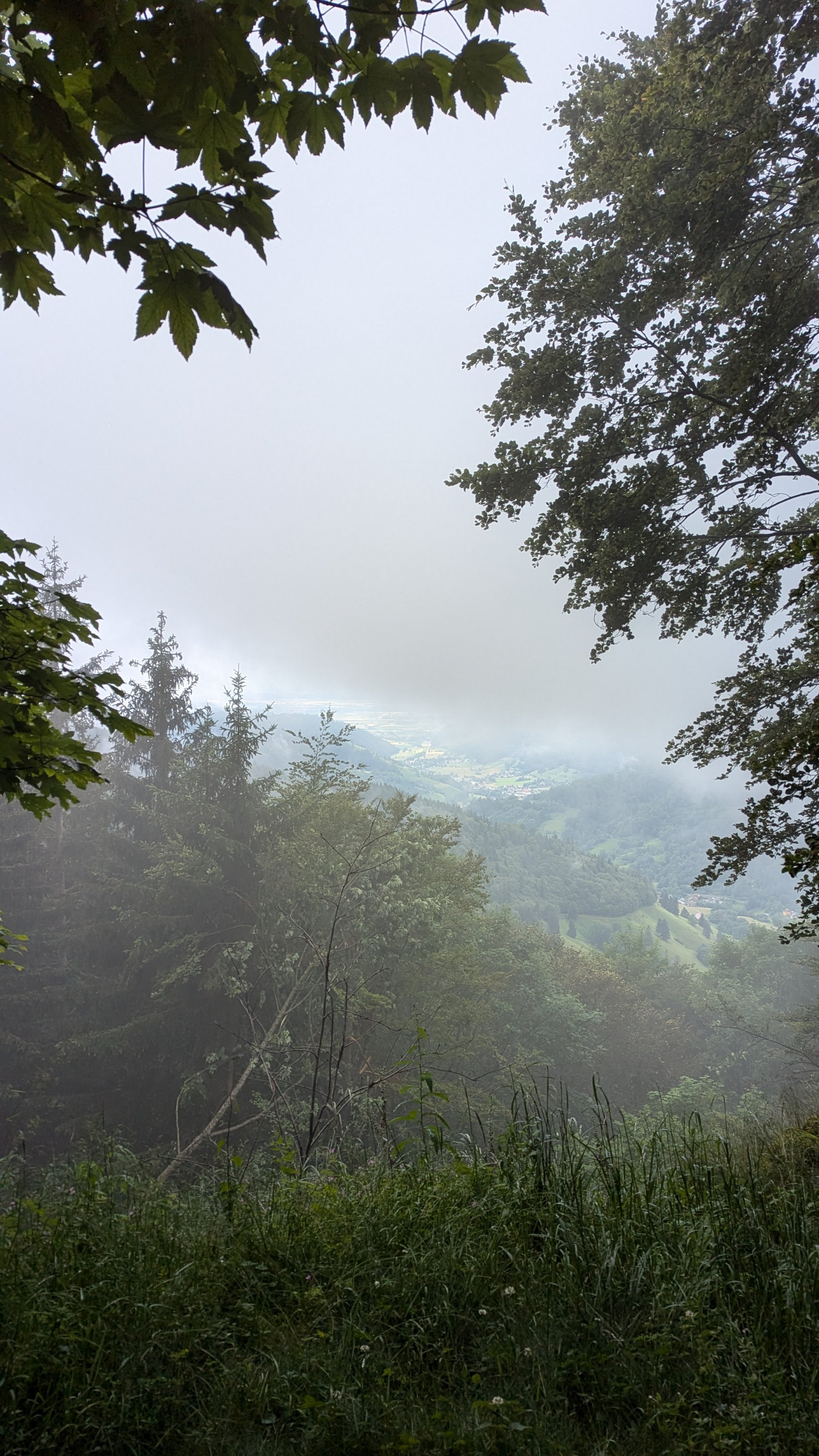 PXL_20240623_081100136.jpg