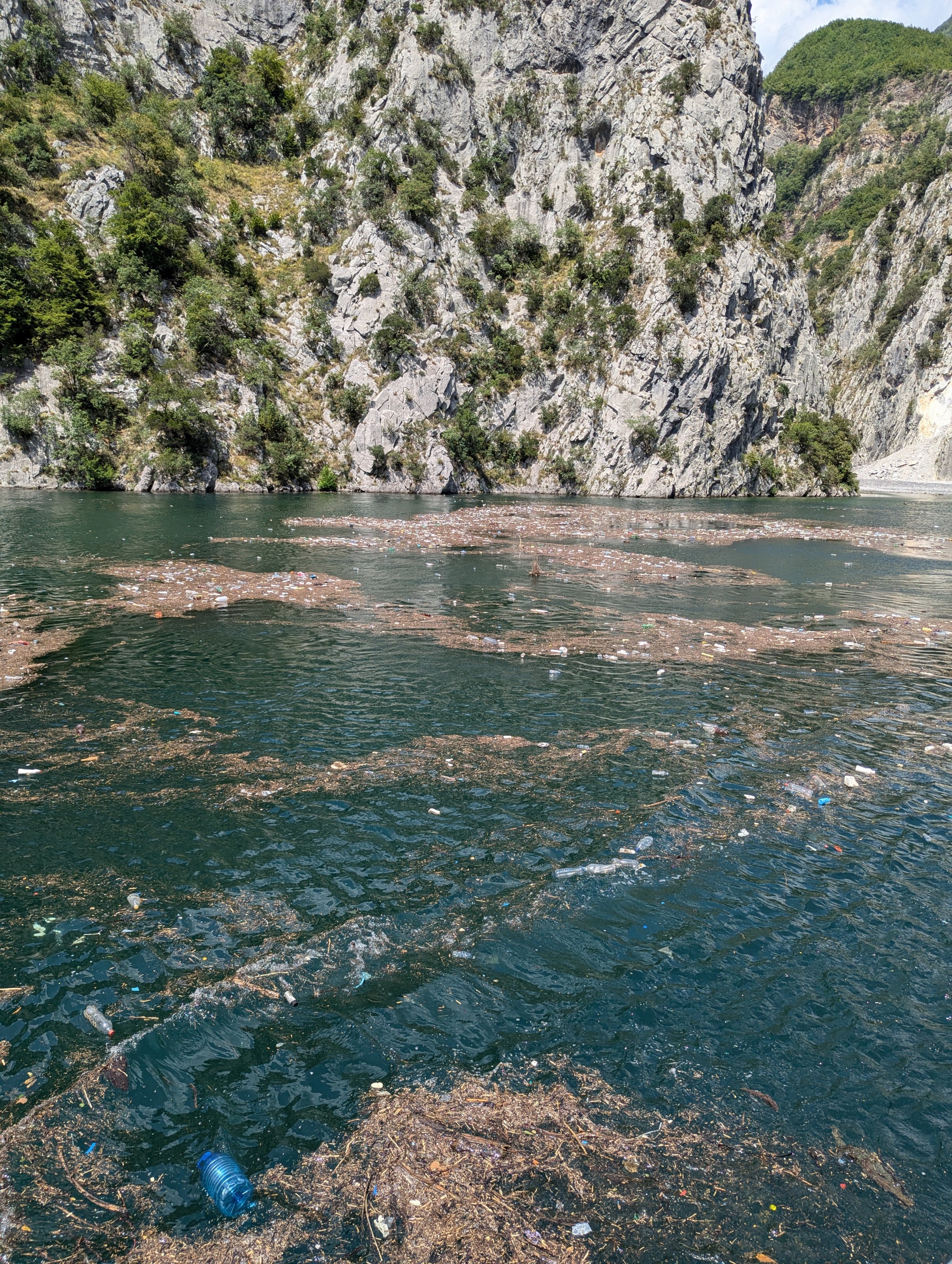 PXL_20240721_114838185.jpg