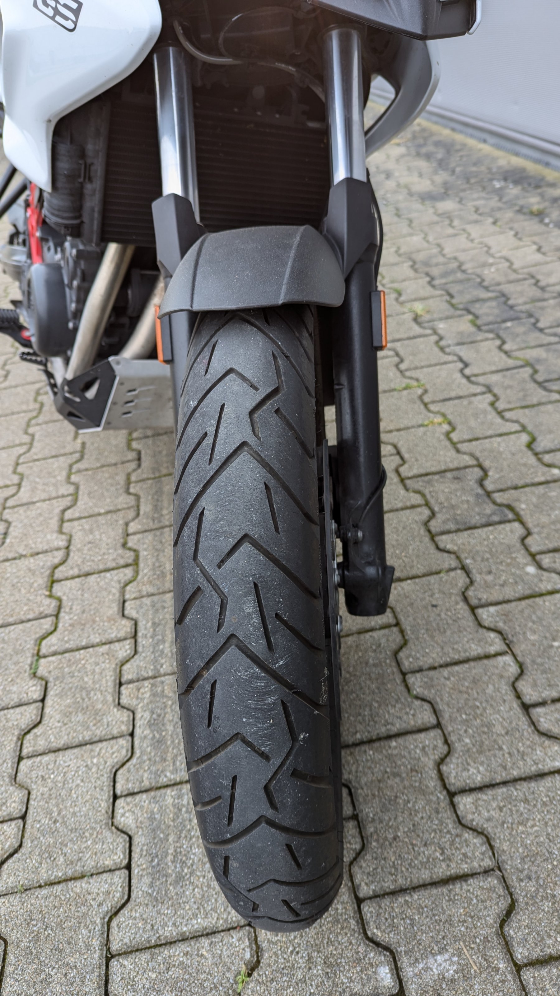 PXL_20241109_121441163.RAW-01.COVER.jpg