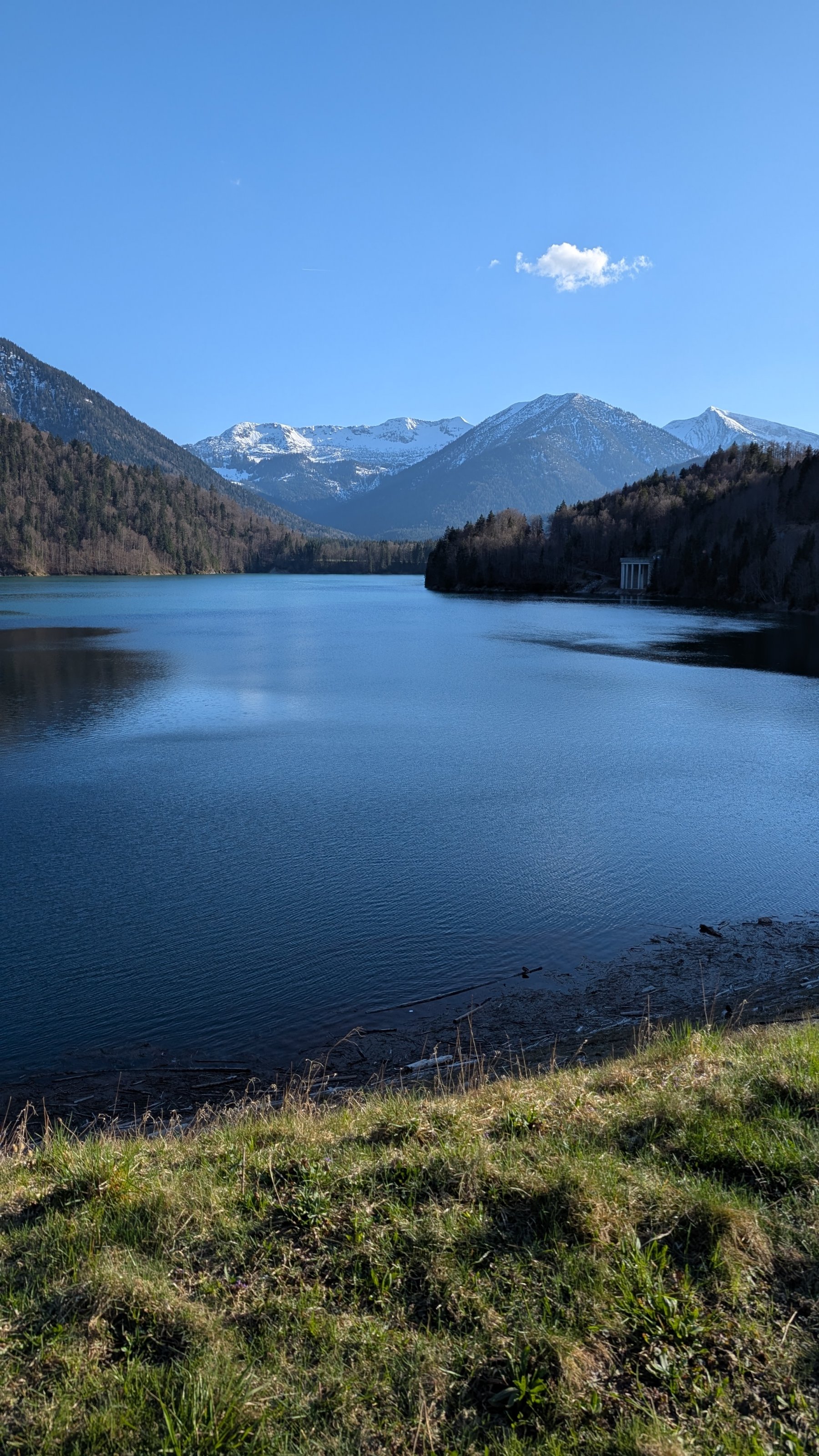 PXL_20250404_154819400.jpg