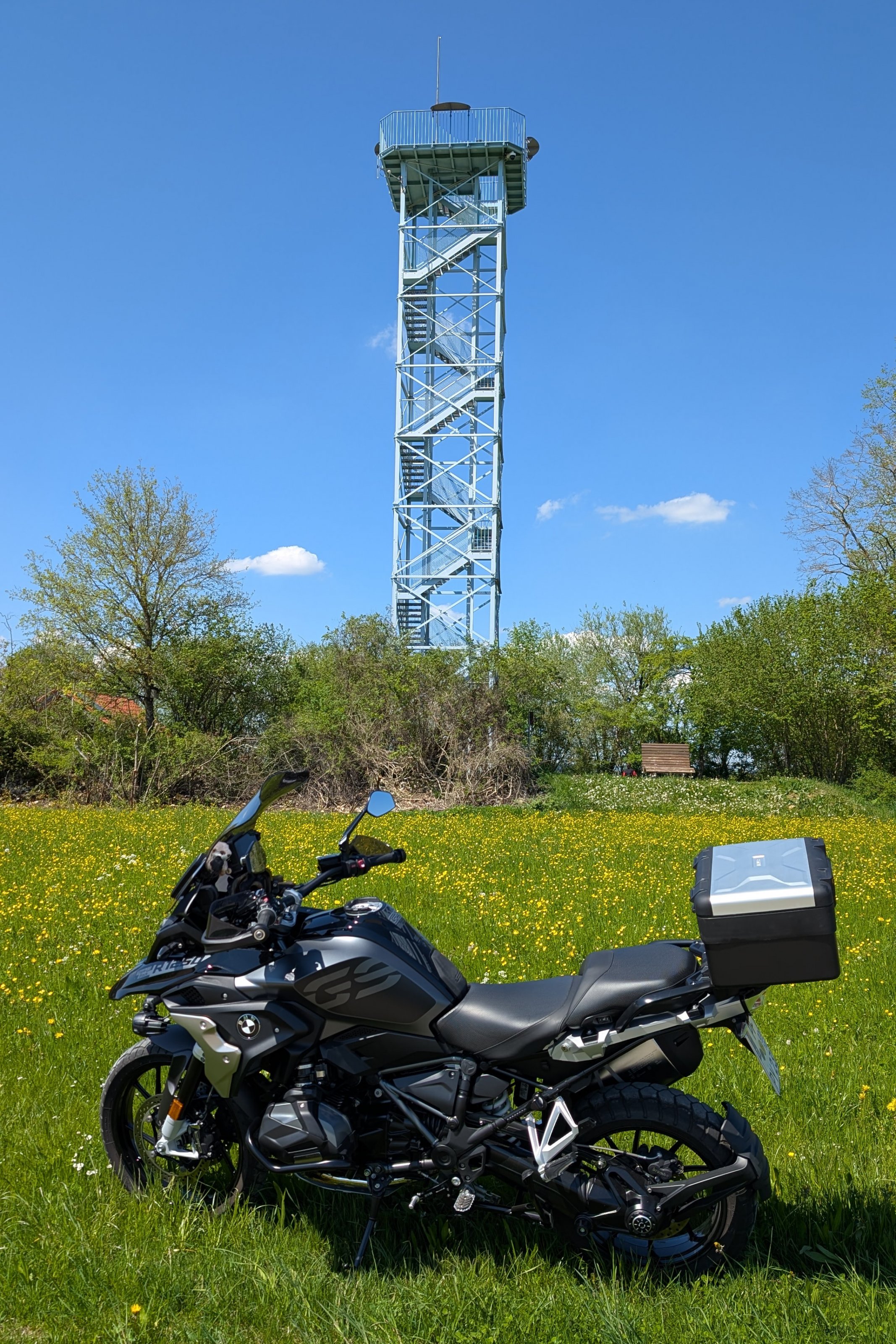 PXL_20250429_121434580_c.jpg