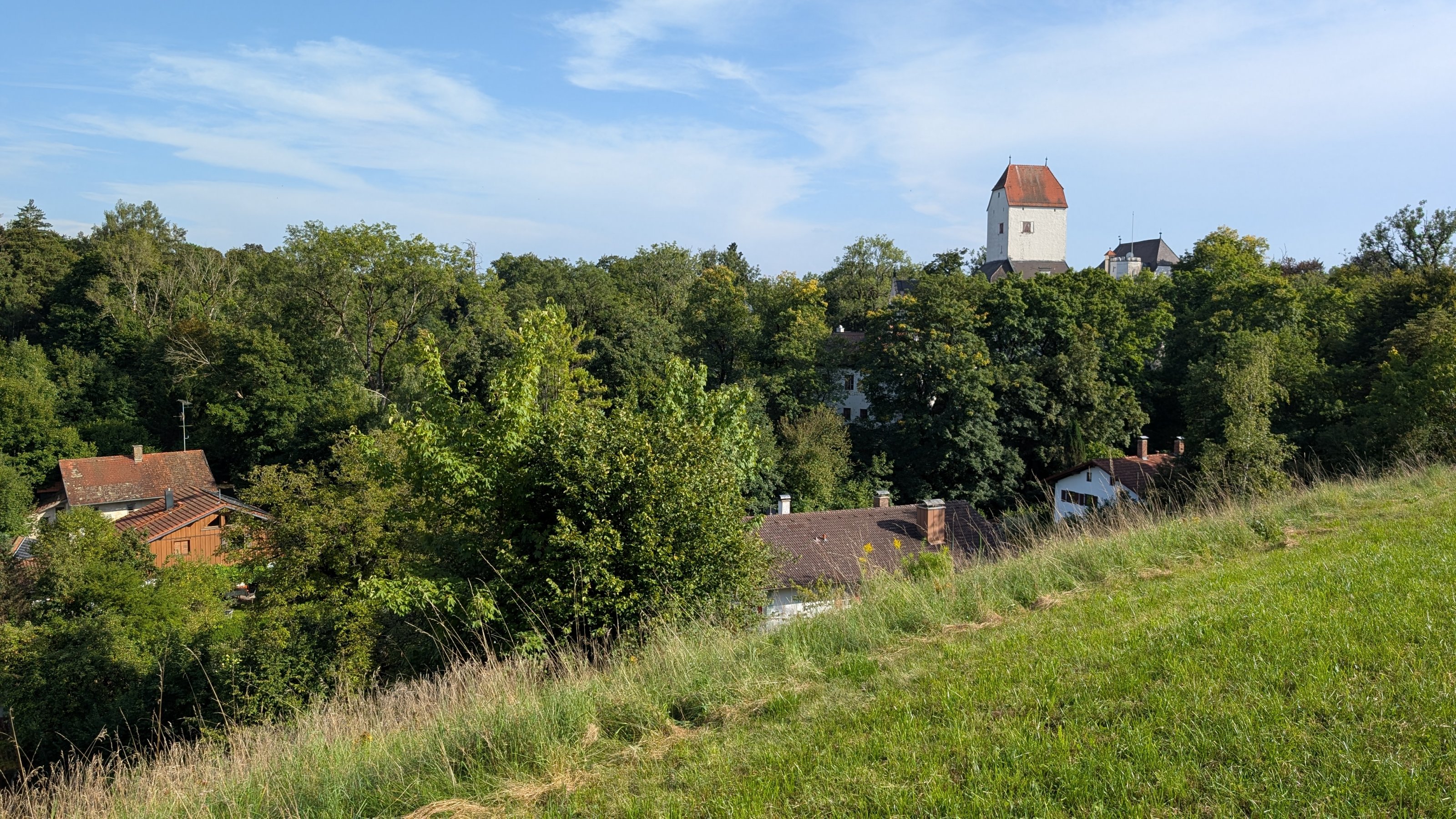 PXL_20250814_152346179.jpg