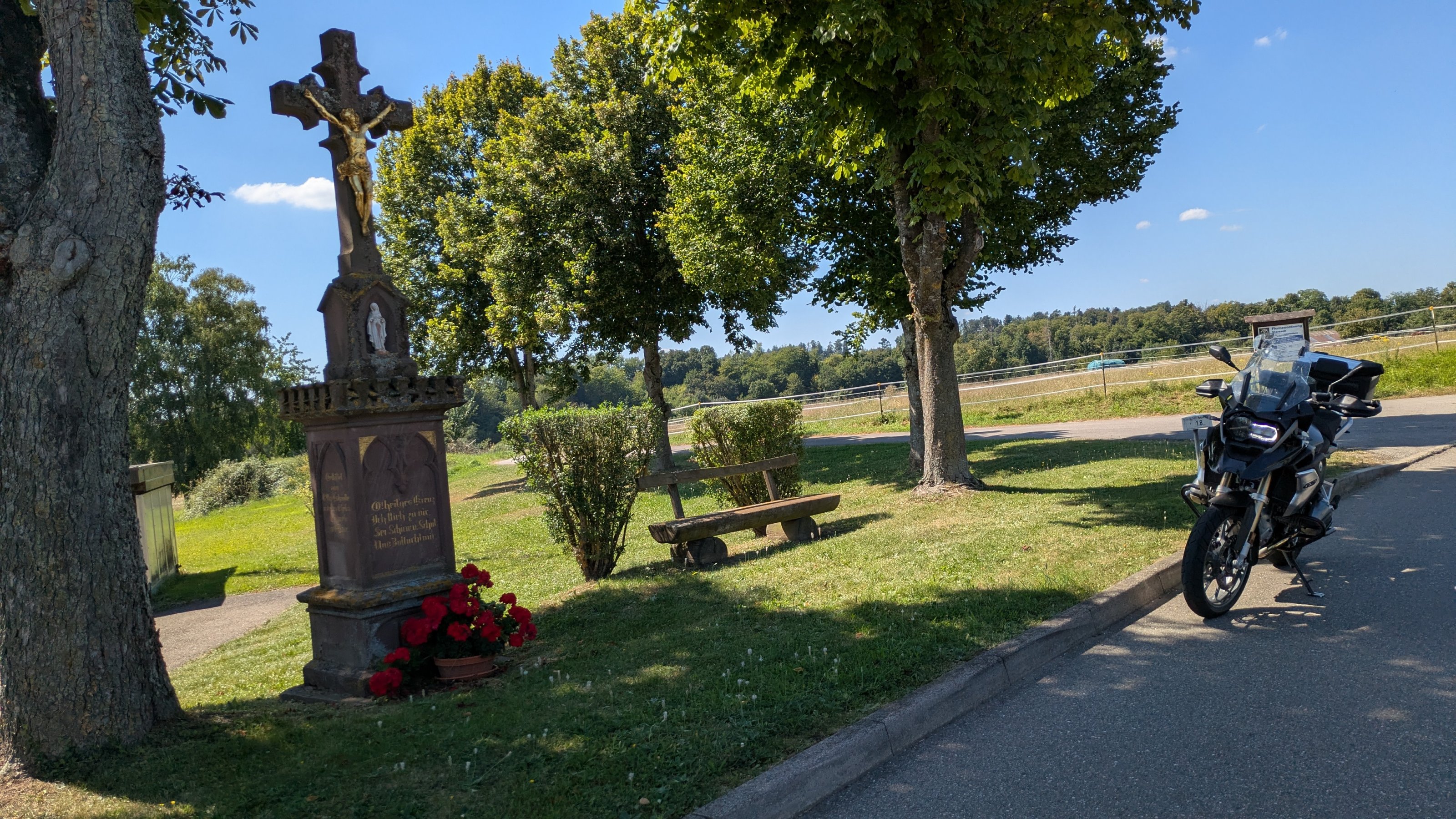 PXL_20250818_124224955.jpg