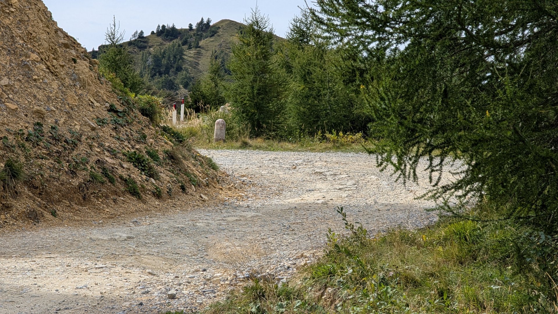 PXL_20260921_111442171.jpg