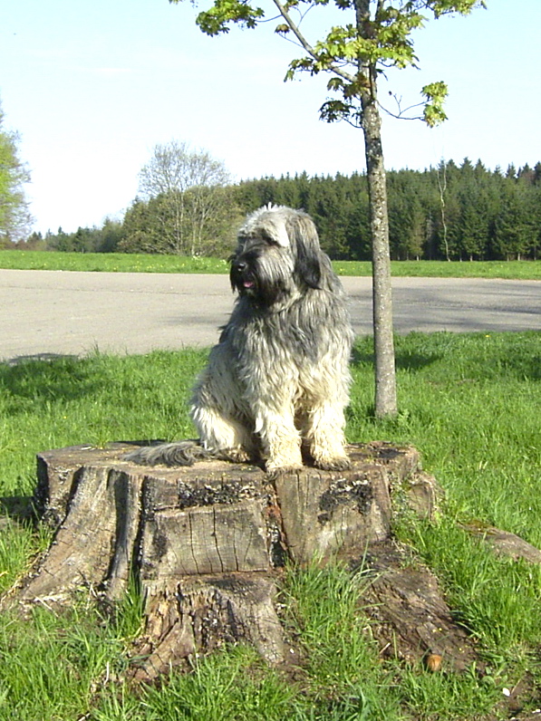 R0015262-mod.jpg