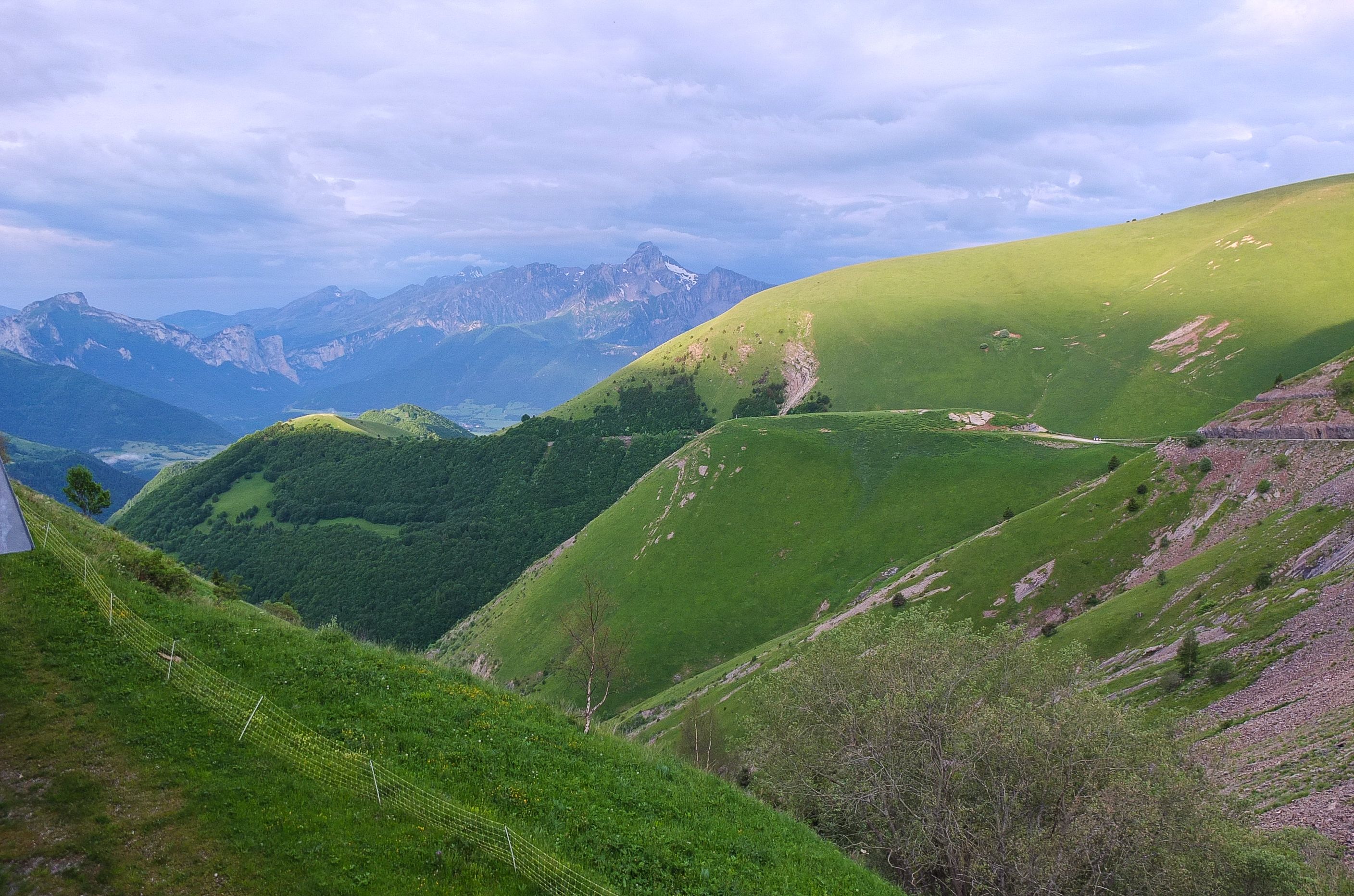 RDGA_2015_313_1.jpg