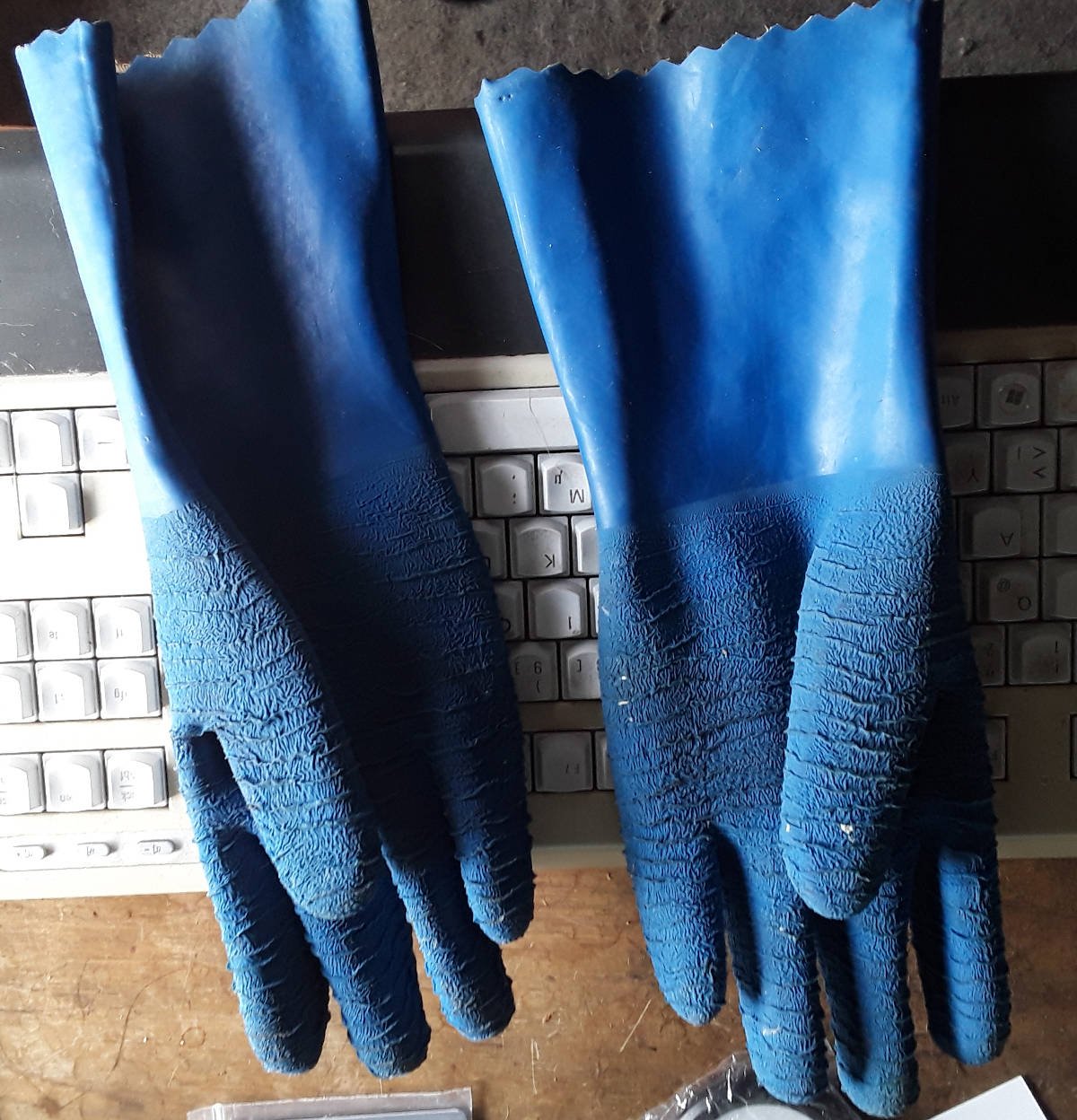 Regenhandschuhe.jpg