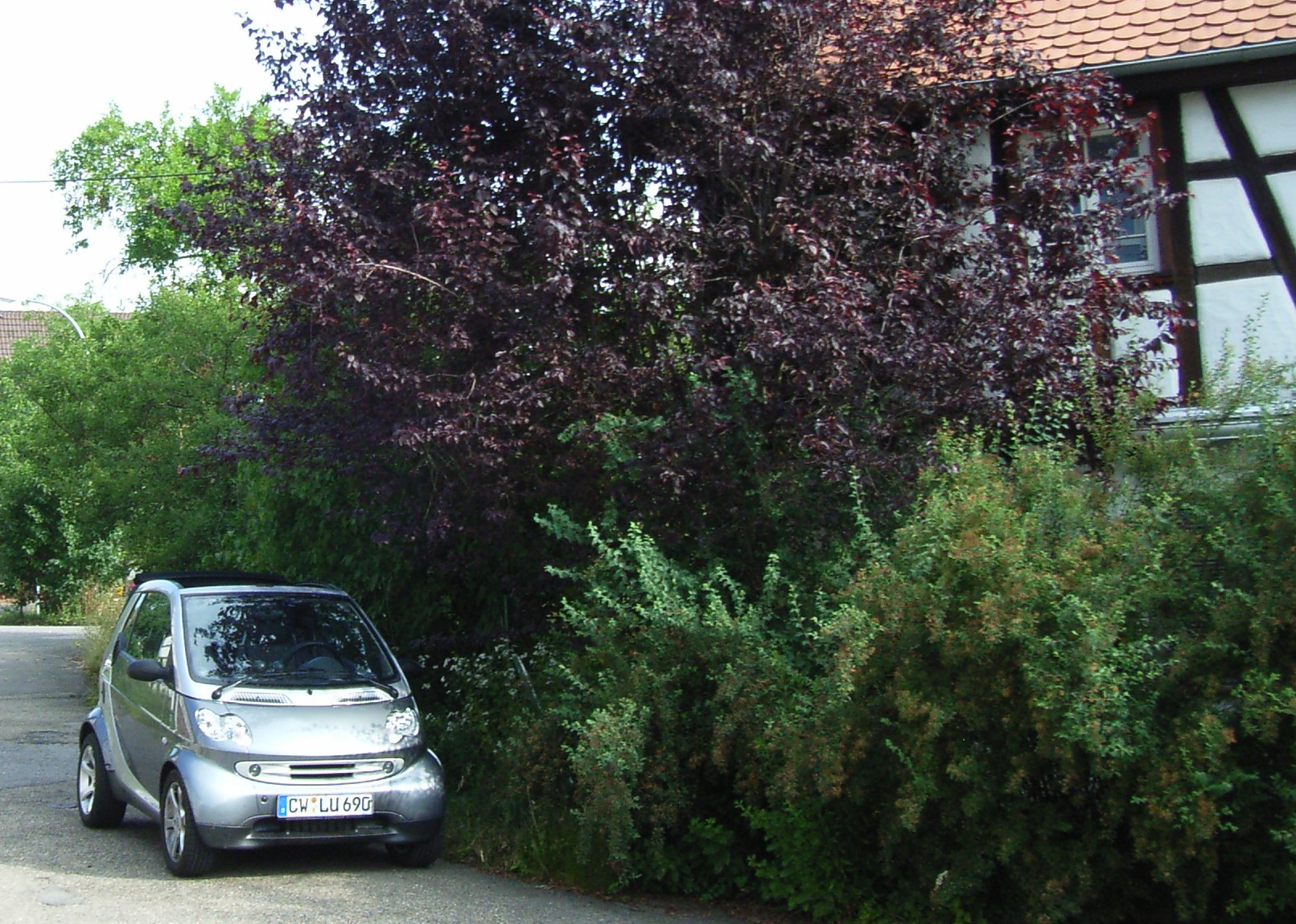 RIMG0121.JPG