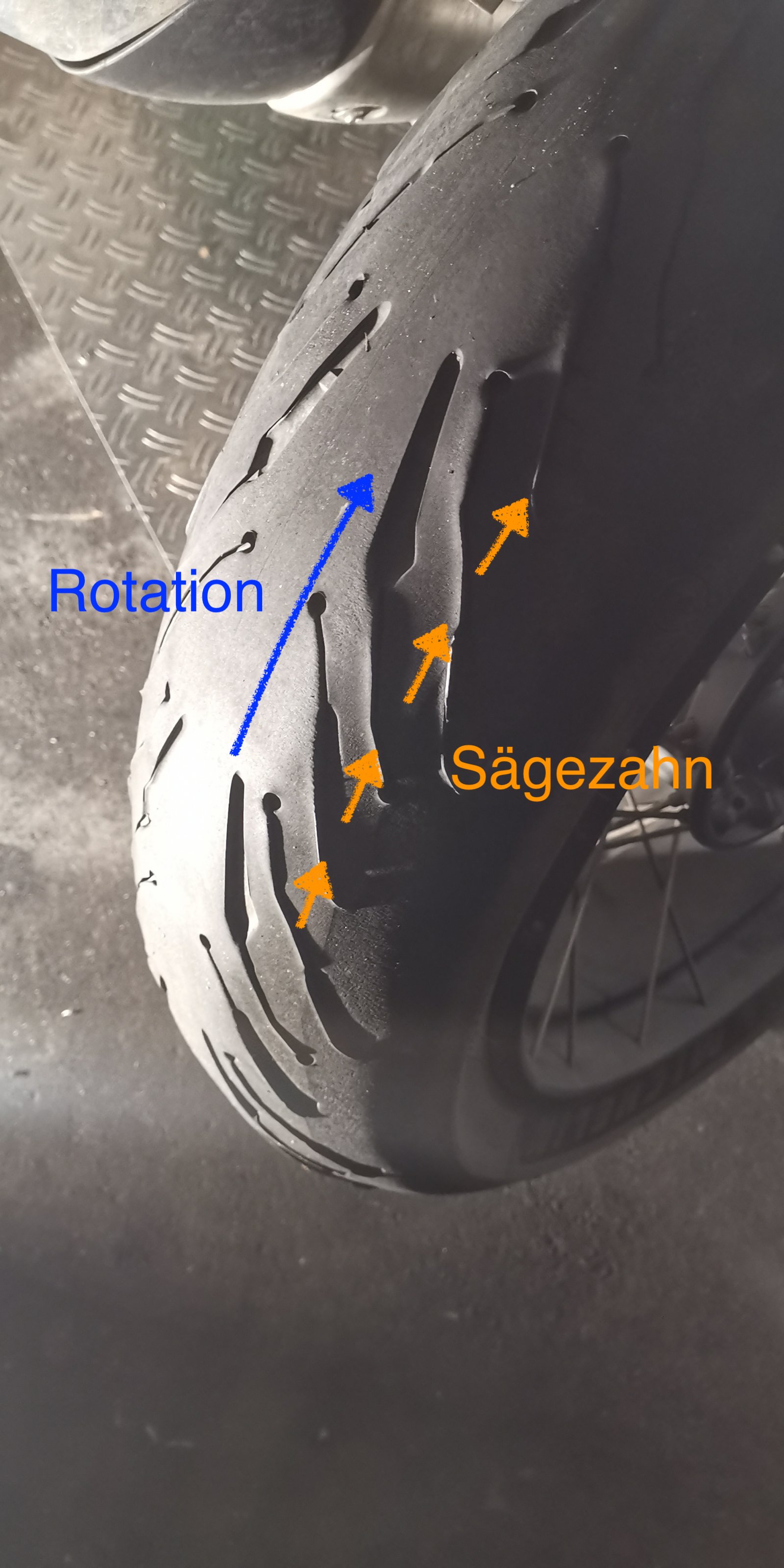 Sägezahn hinten.jpg
