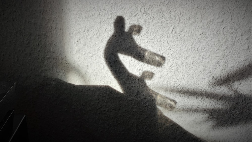 Schatten.jpg