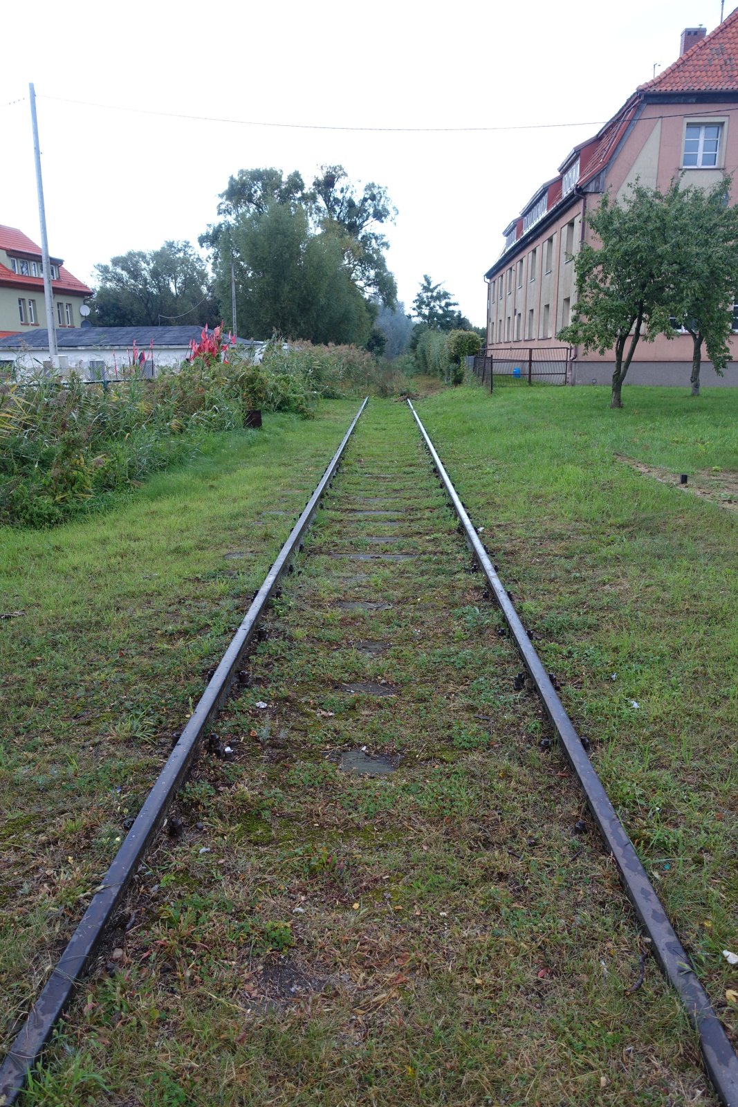 Schienen.jpg