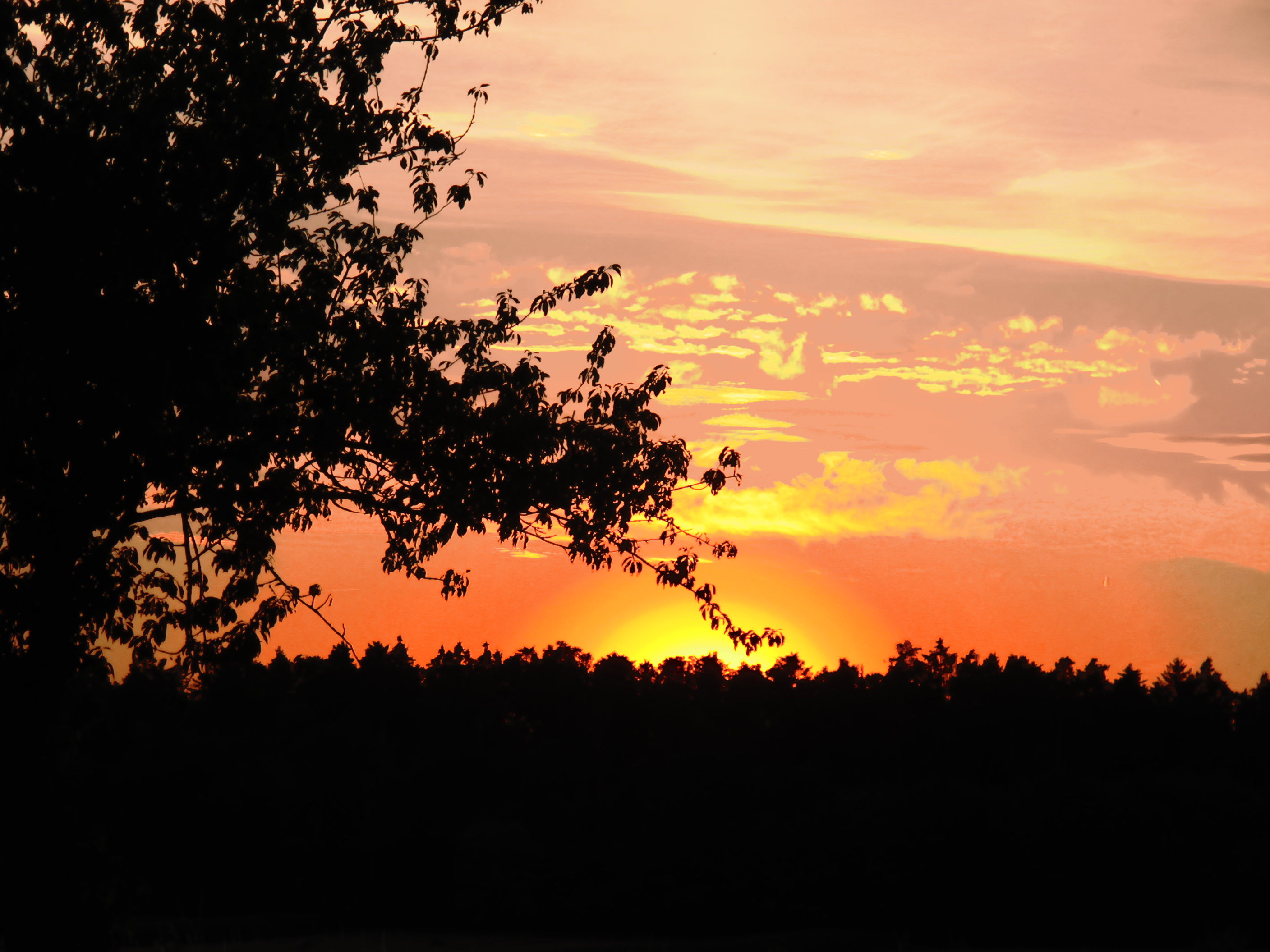 Schmetterlingabend 009.JPG