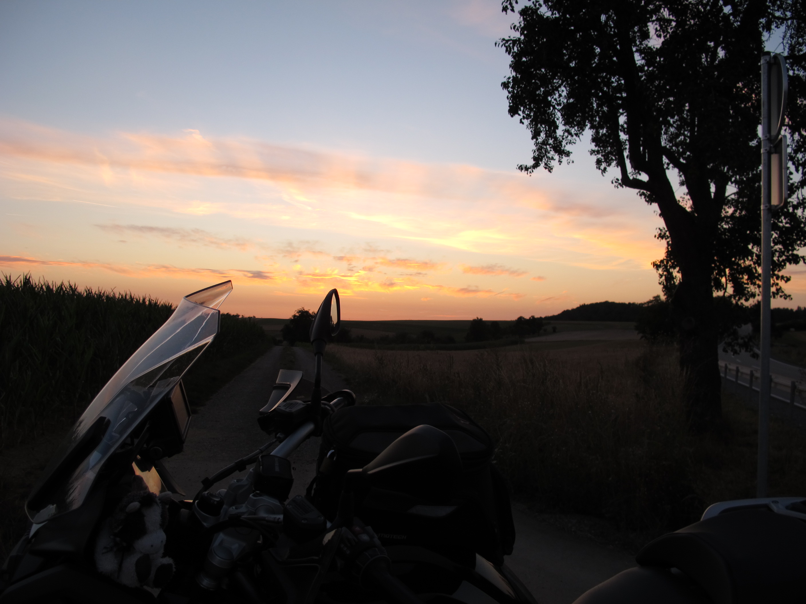 Schmetterlingabend 022.JPG