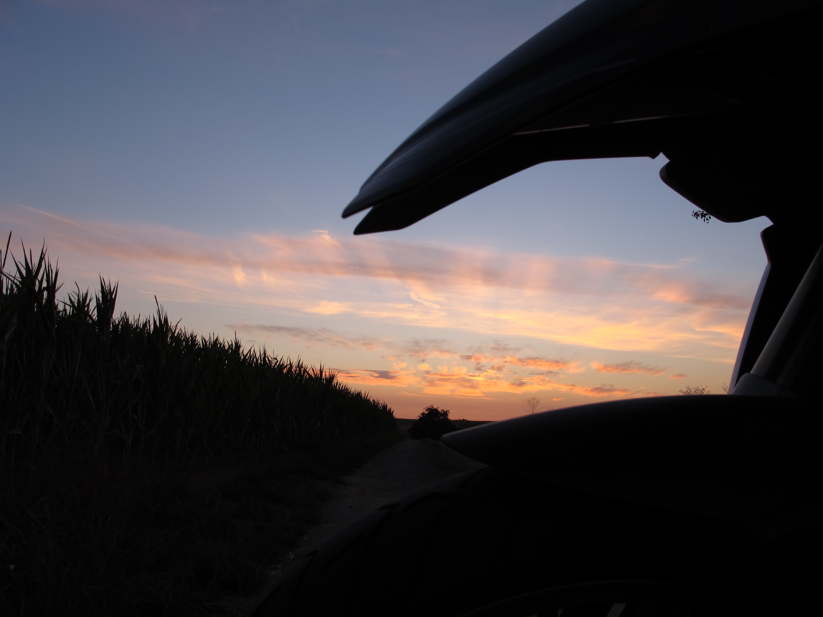 Schmetterlingabend 025.JPG
