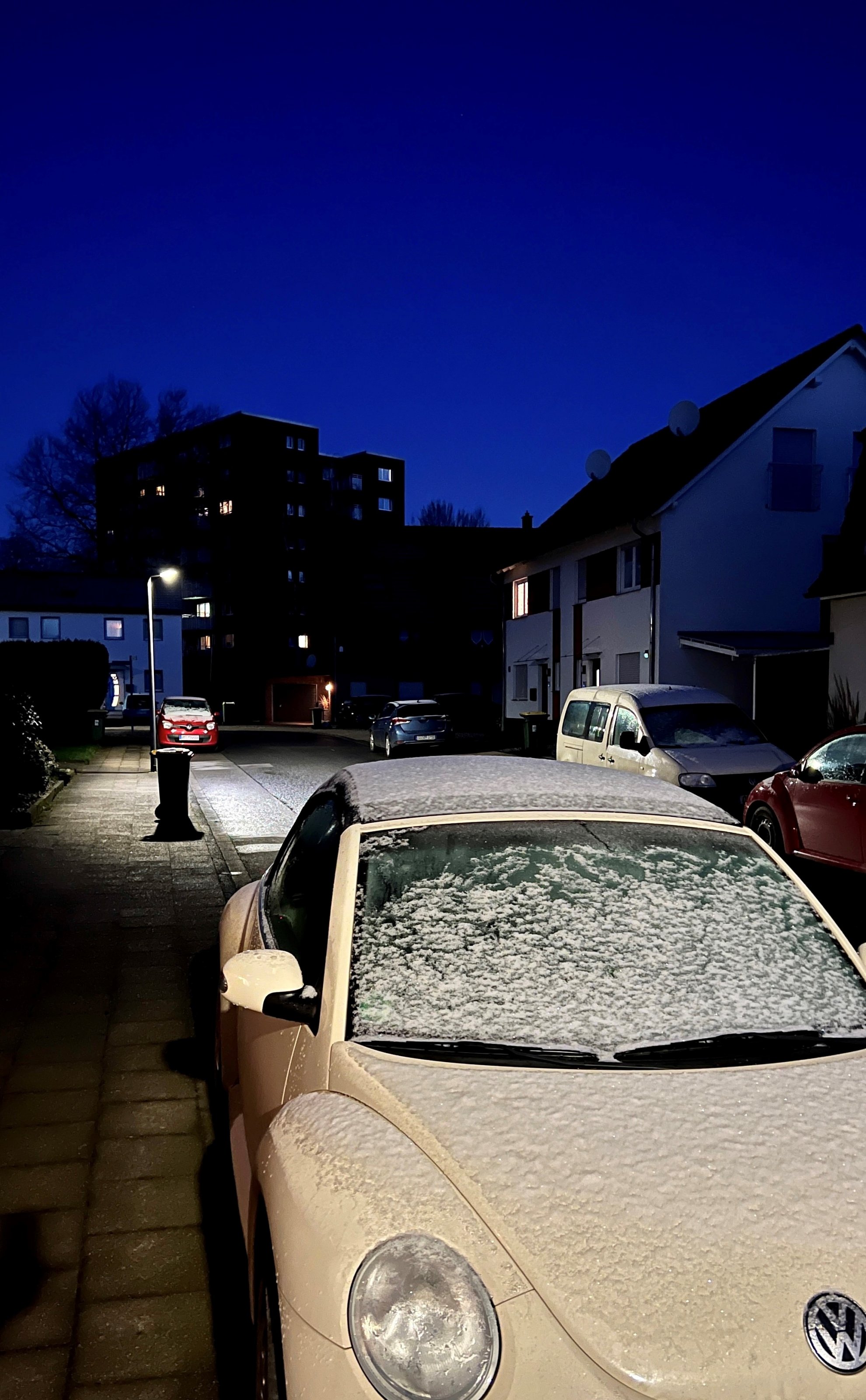 Schnee im Febraur.jpg