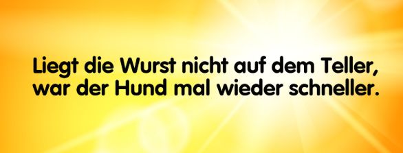 schnellerhund.jpg