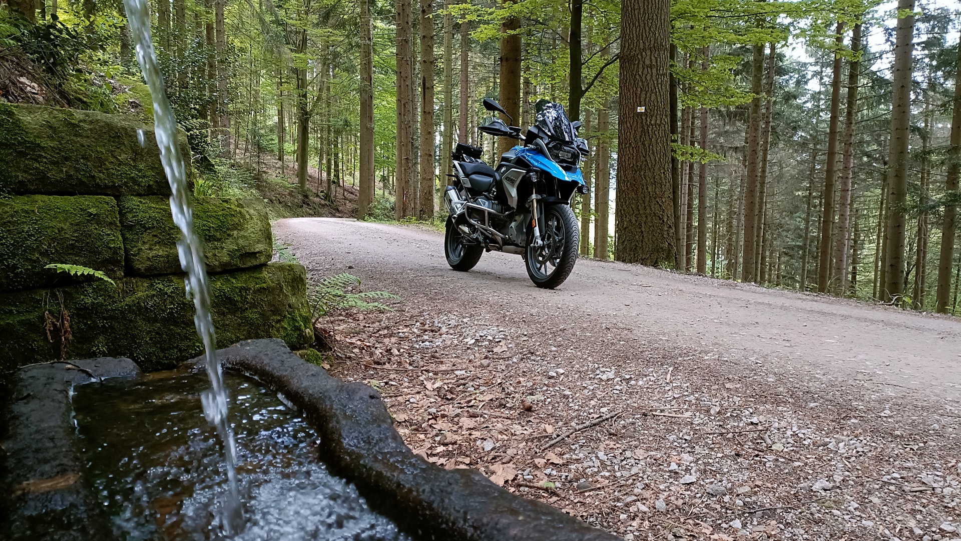 Schwarzwald_1920px.jpg