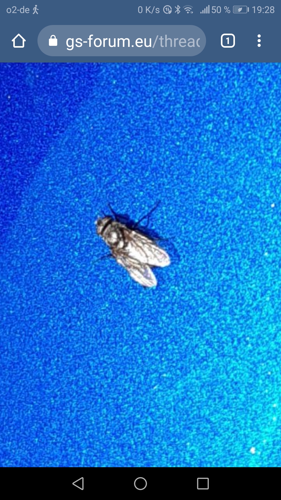Screenshot_20210221-192817.jpg