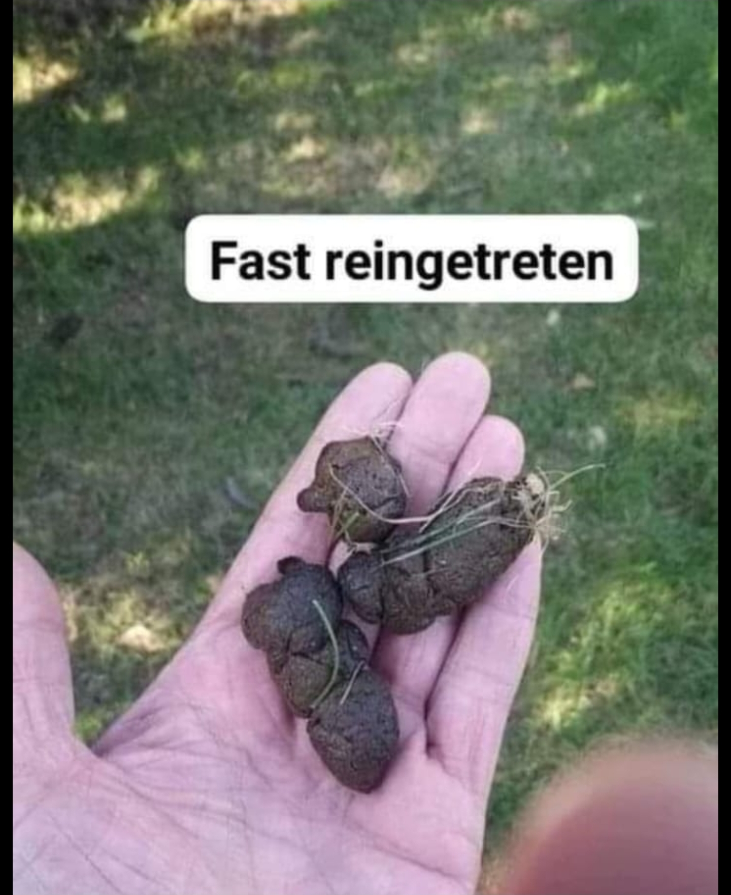 Screenshot_20240625_215638_WhatsApp.jpg