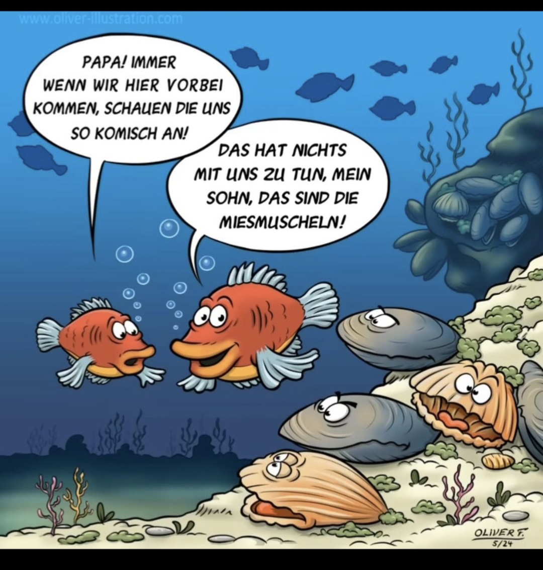 Screenshot_20260111_200654_Samsung Internet.jpg