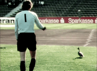 Sepp Maier.gif