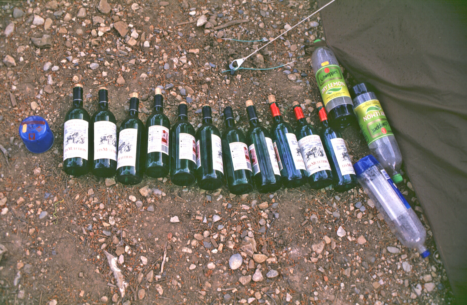 SF-b12_1989.jpg