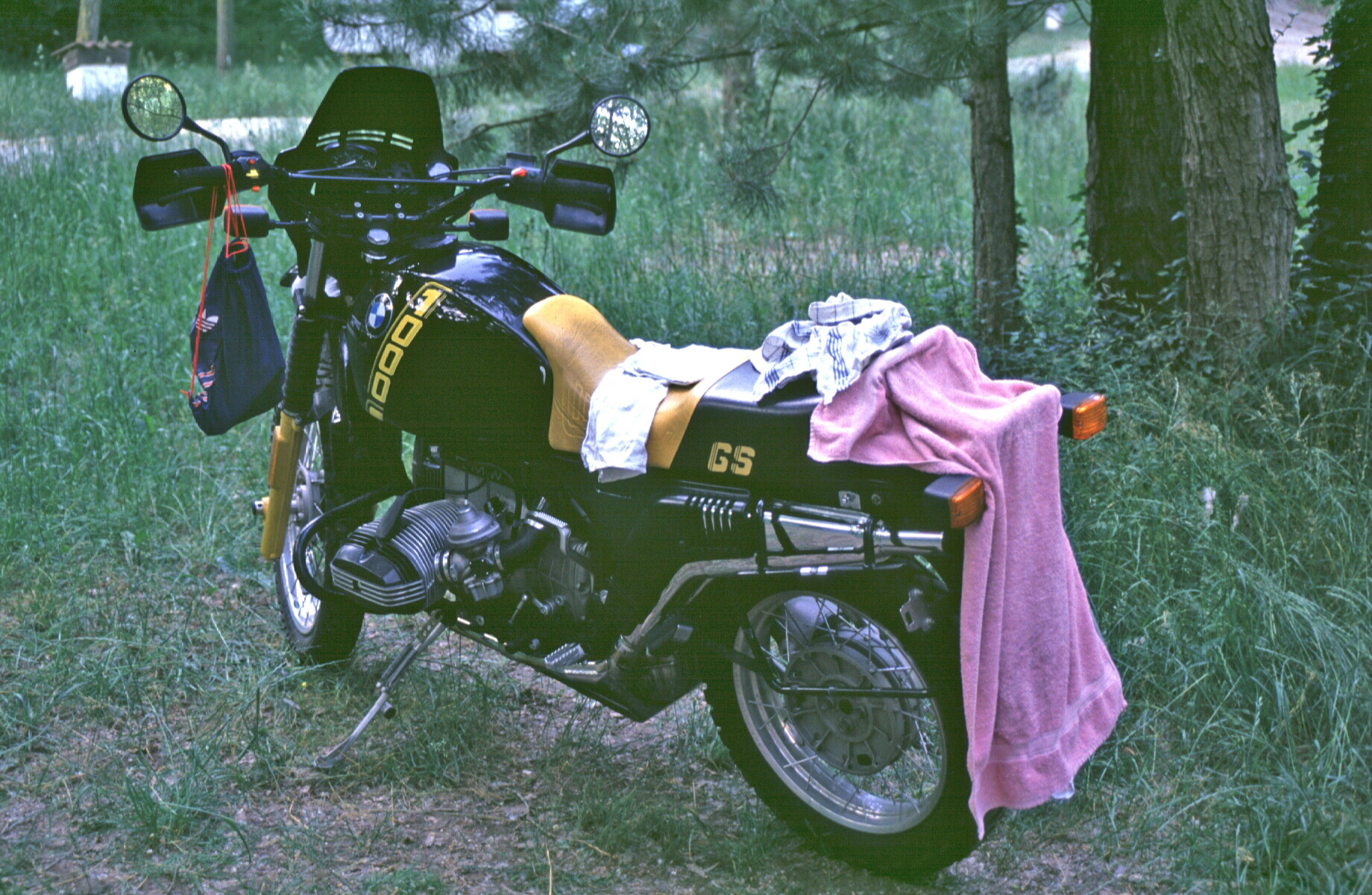 SF-d36_1989.jpg