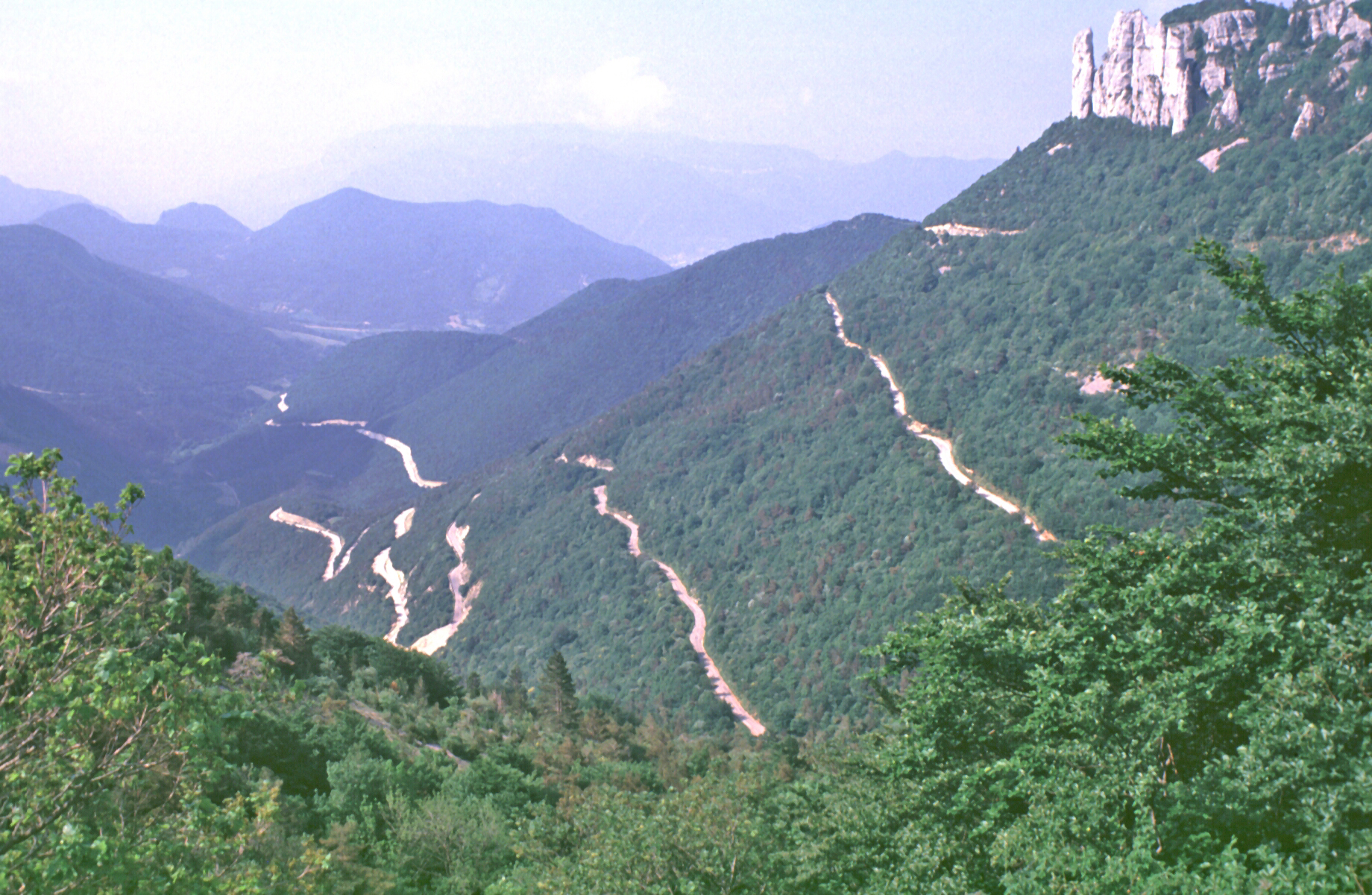 SF-e41_1989.jpg