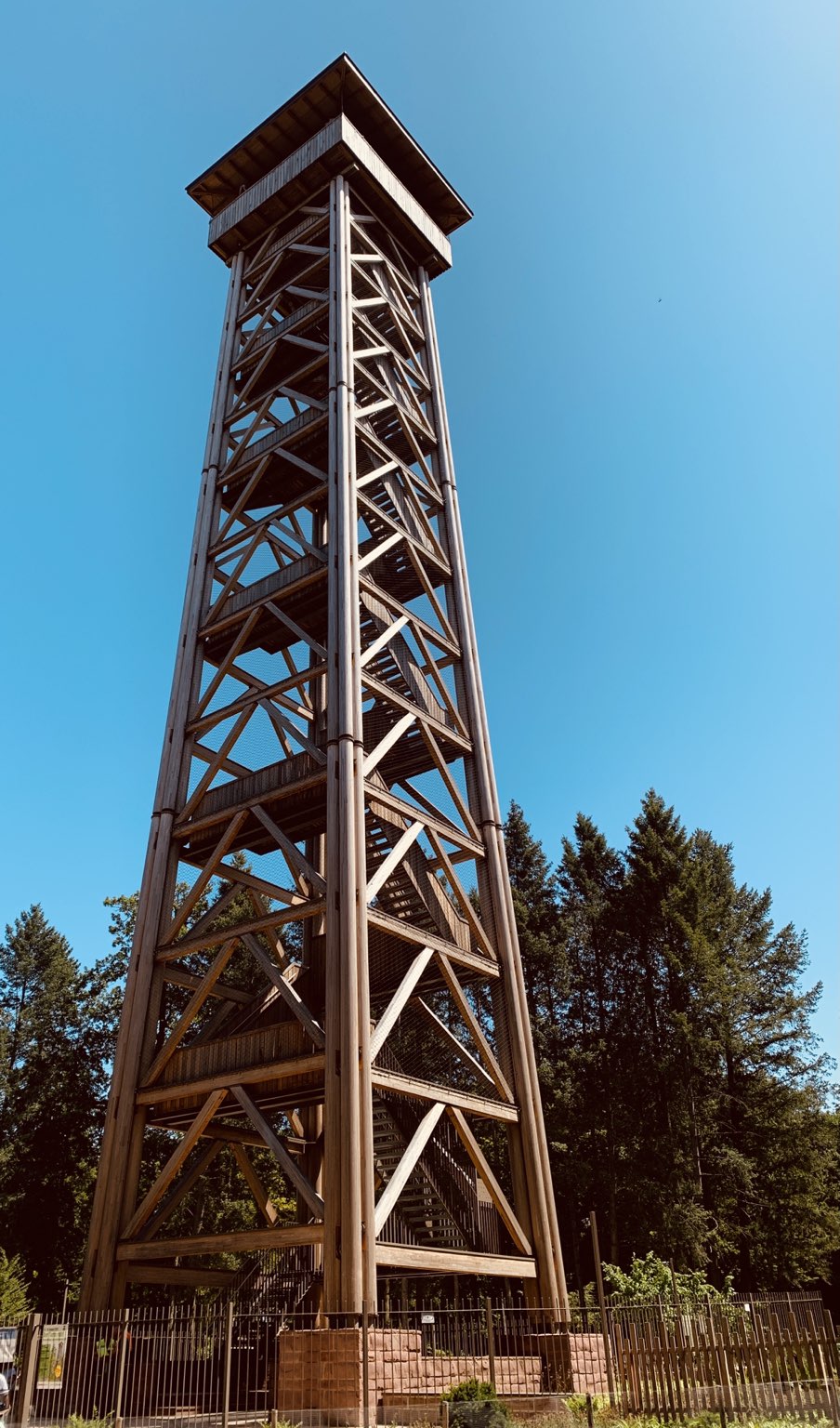 signal-2021-07-18-183122.jpg