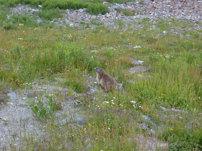 Slowenien Dolomiten Tour 22.07-25.07.2013 120.jpg