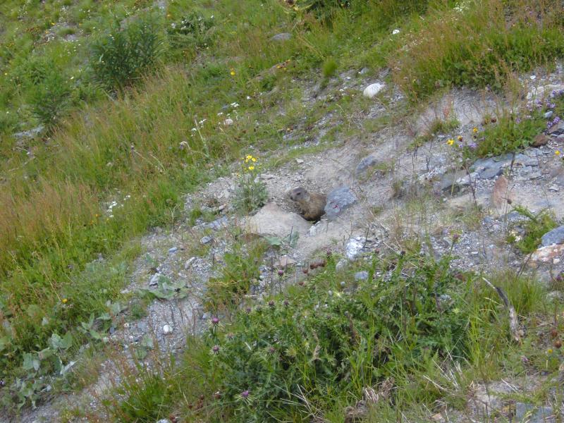Slowenien Dolomiten Tour 22.07-25.07.2013 121.jpg