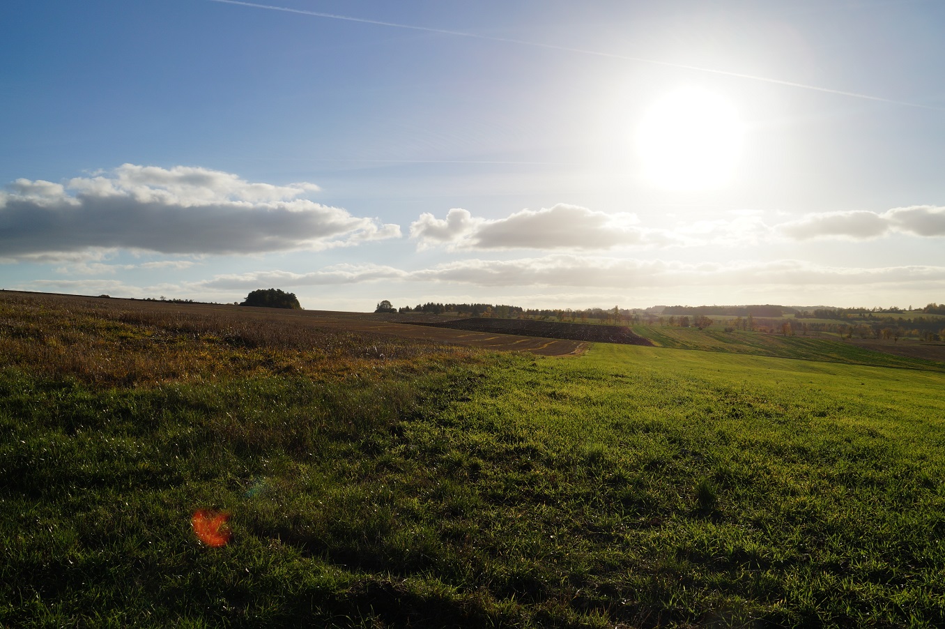 Sonne.jpg