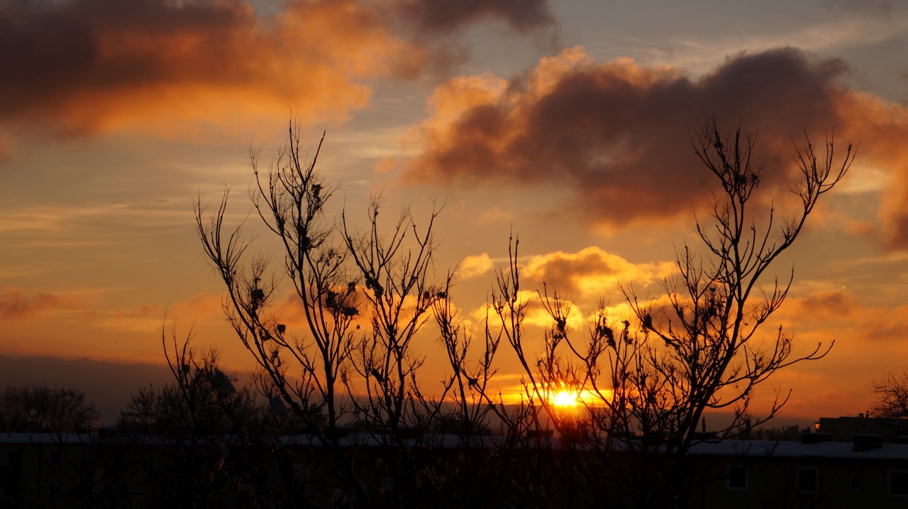 sonne1.jpg