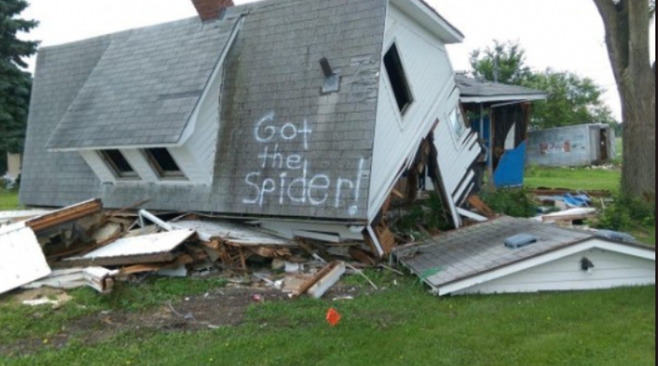 spider.jpg