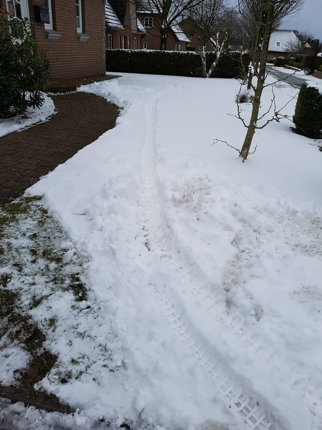 Spuren im Schnee.jpg